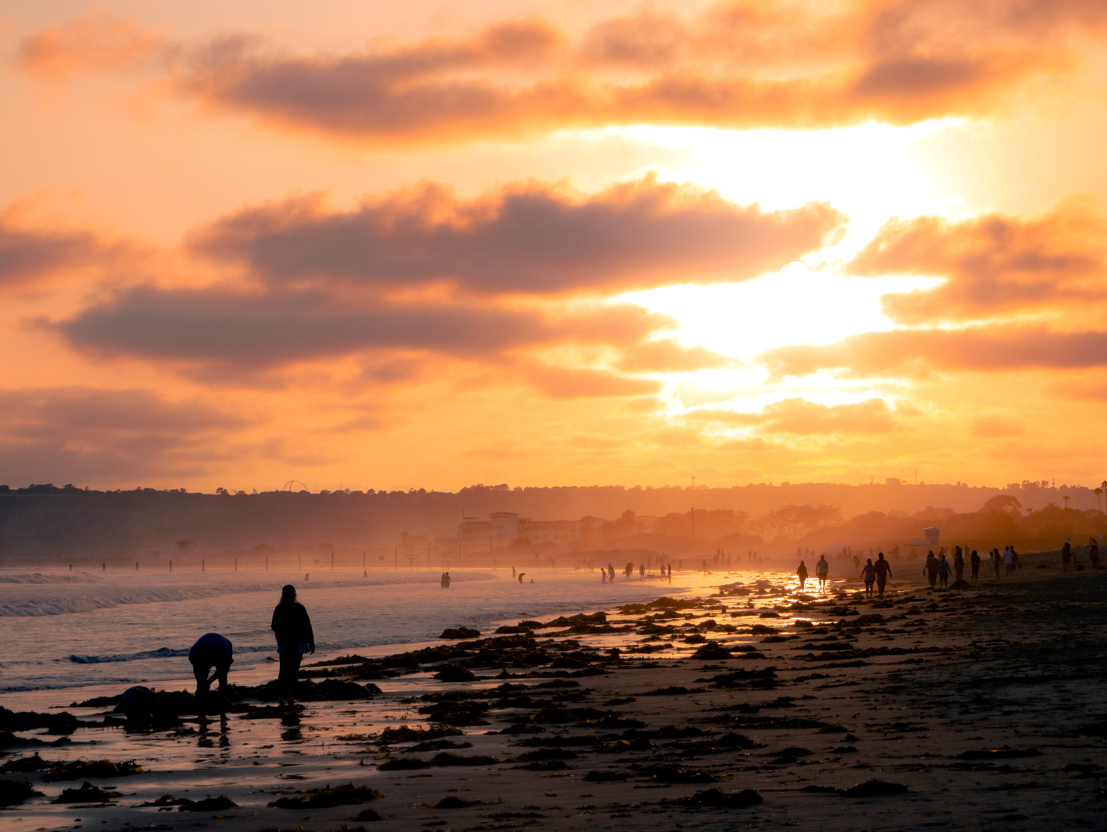 Coronado Landscape