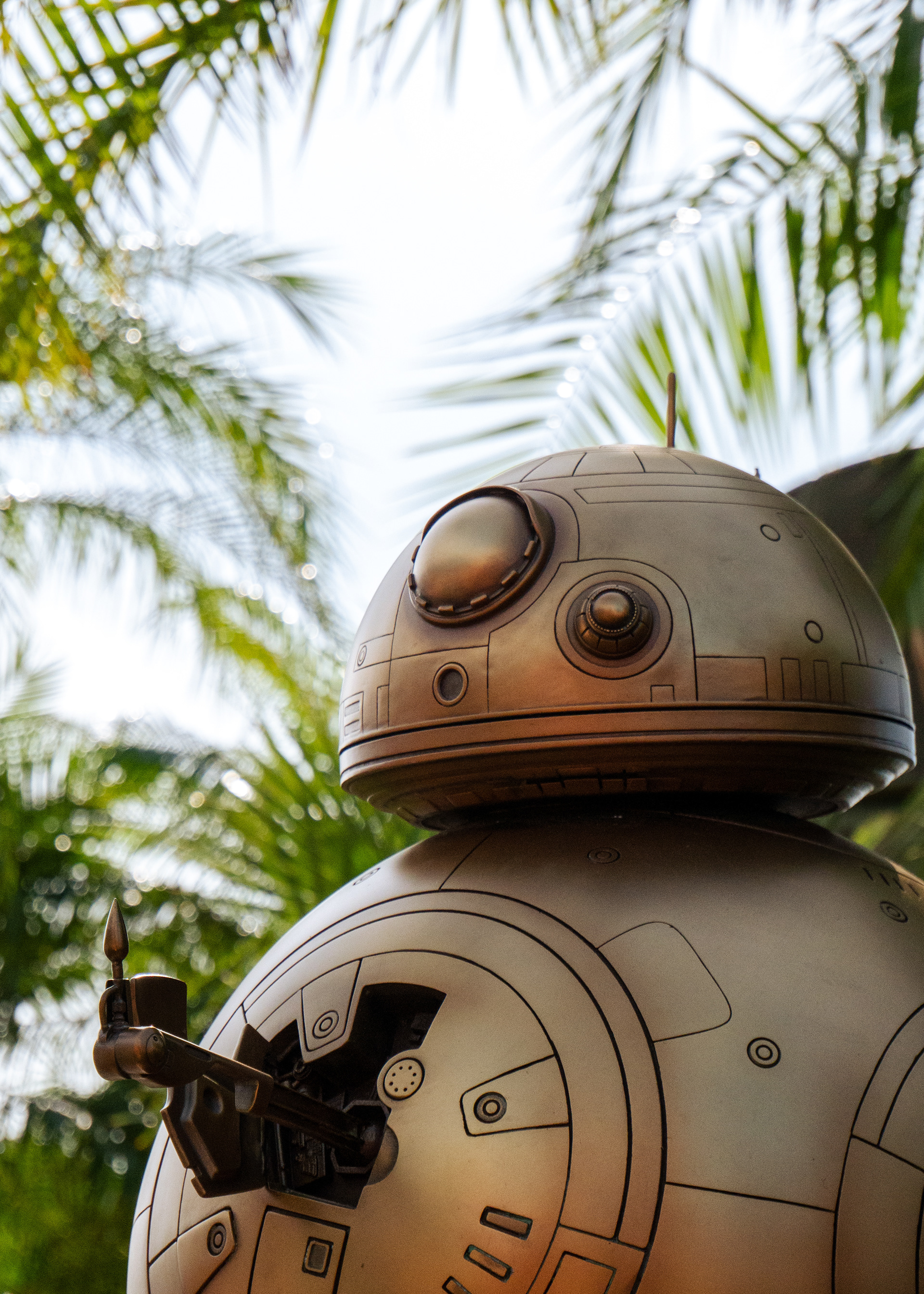 BB-8 Thumbs Up