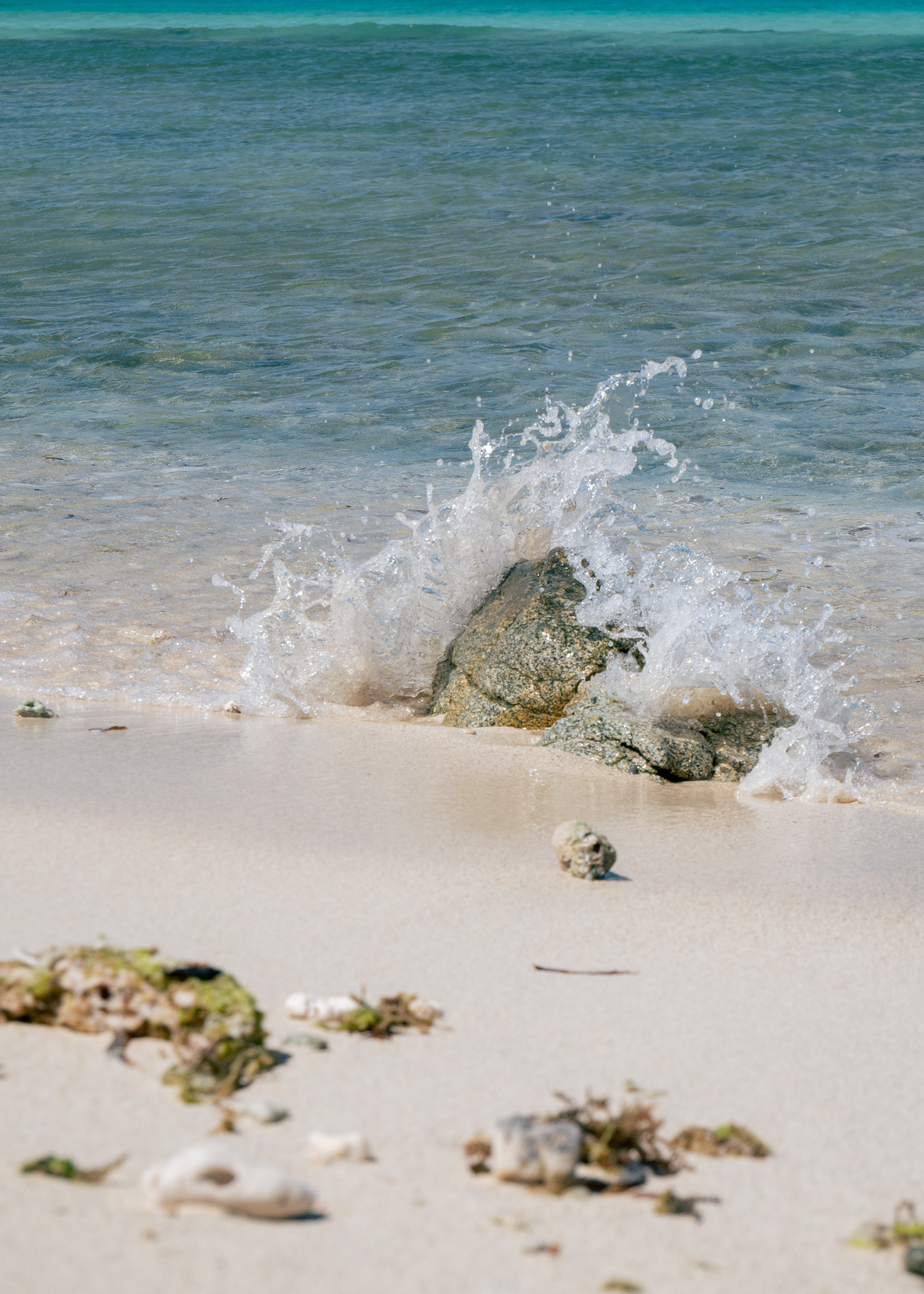 Crashing Waves