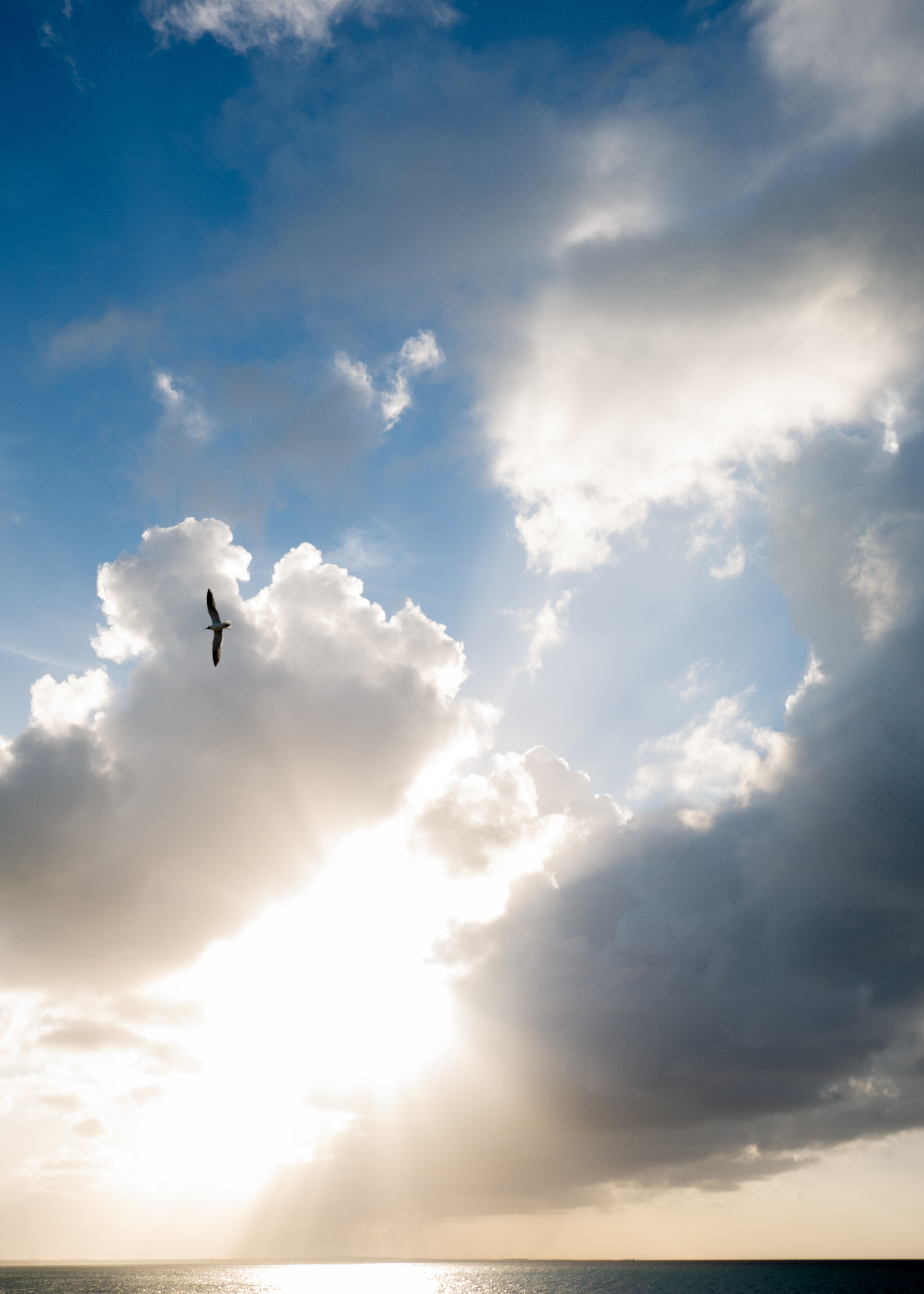 Flying Solo