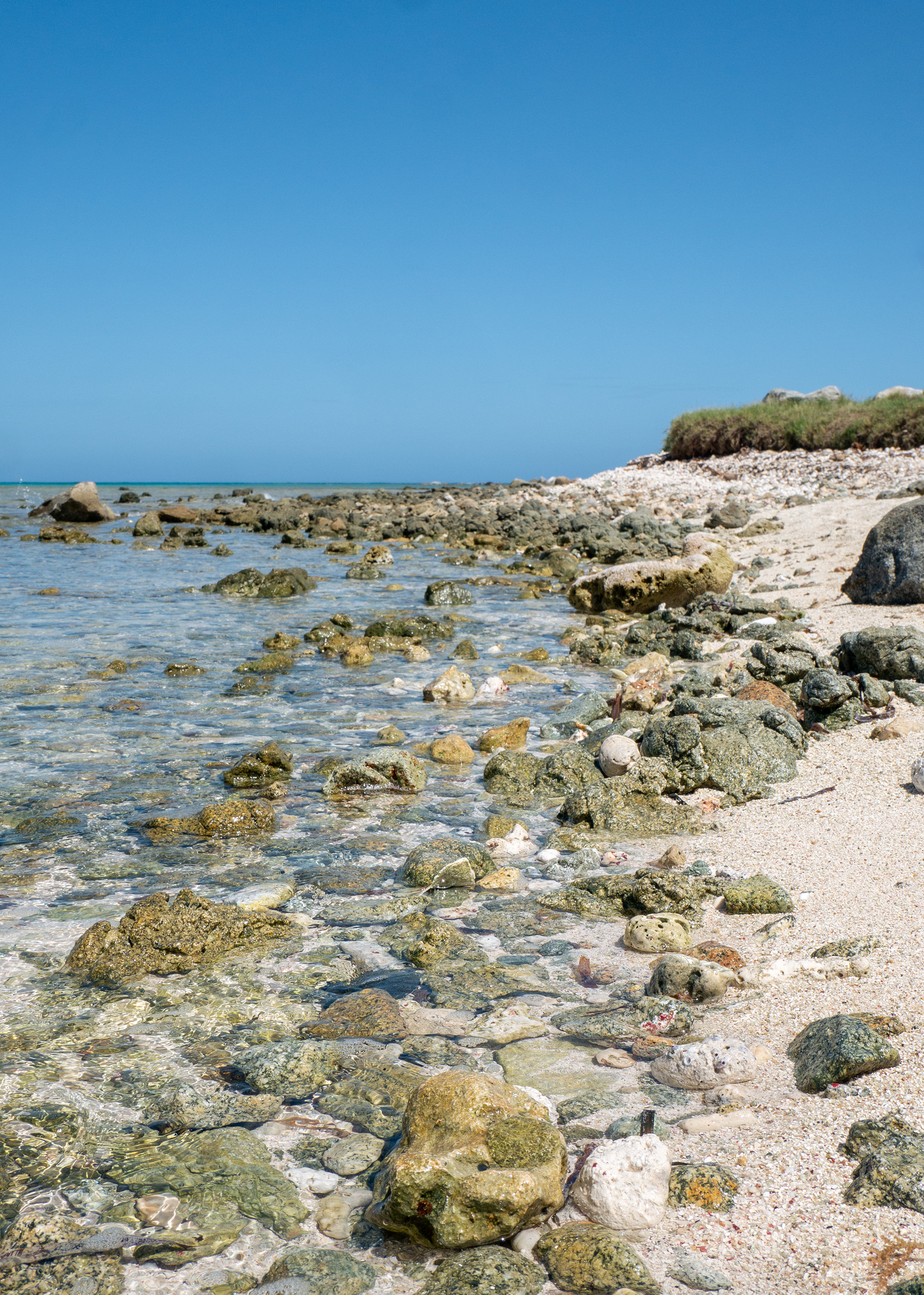 Rocky Shore
