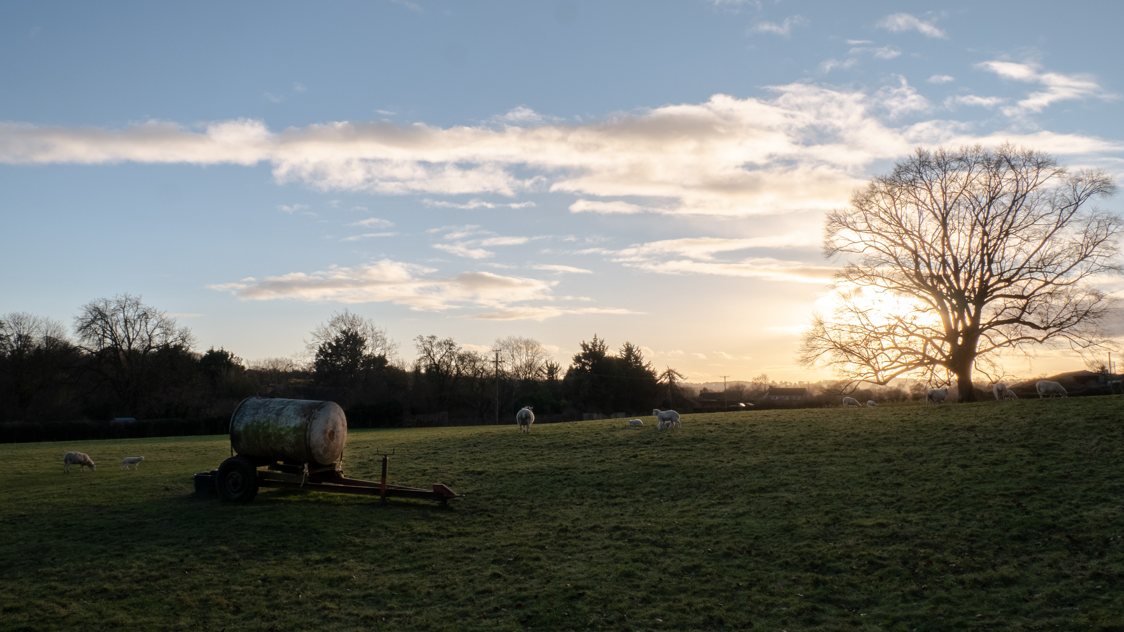 Upton Grey Field Landscape