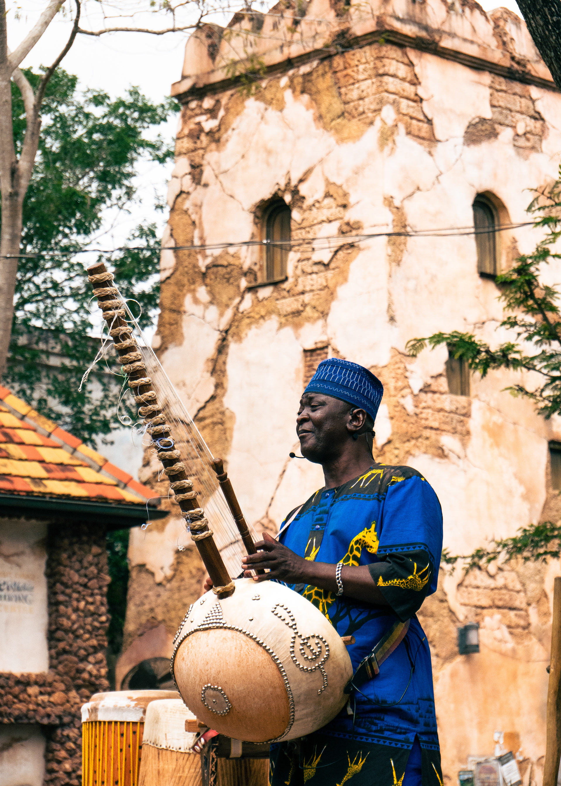 The Musician