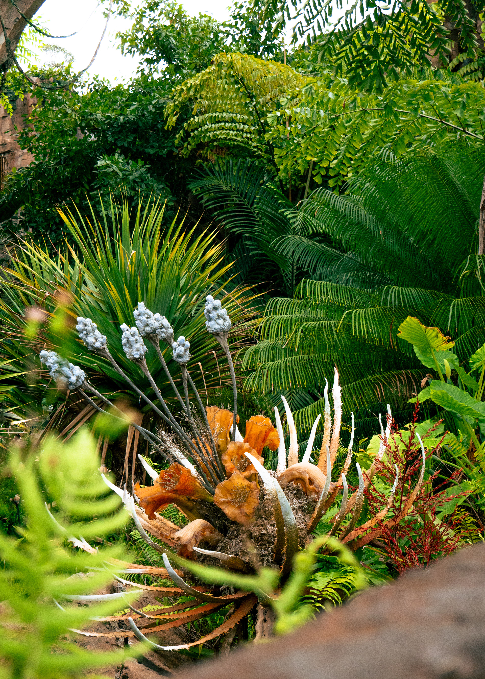 Pandora's Plants
