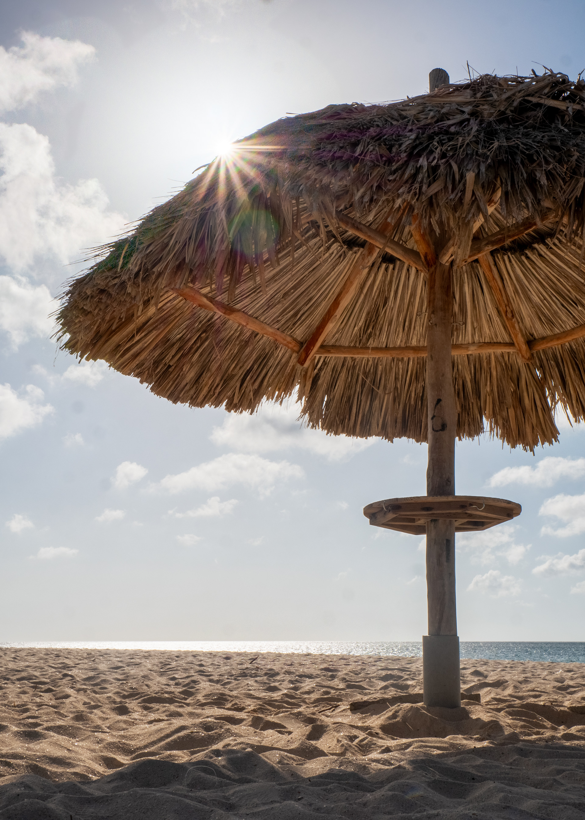 Lonely Palapa