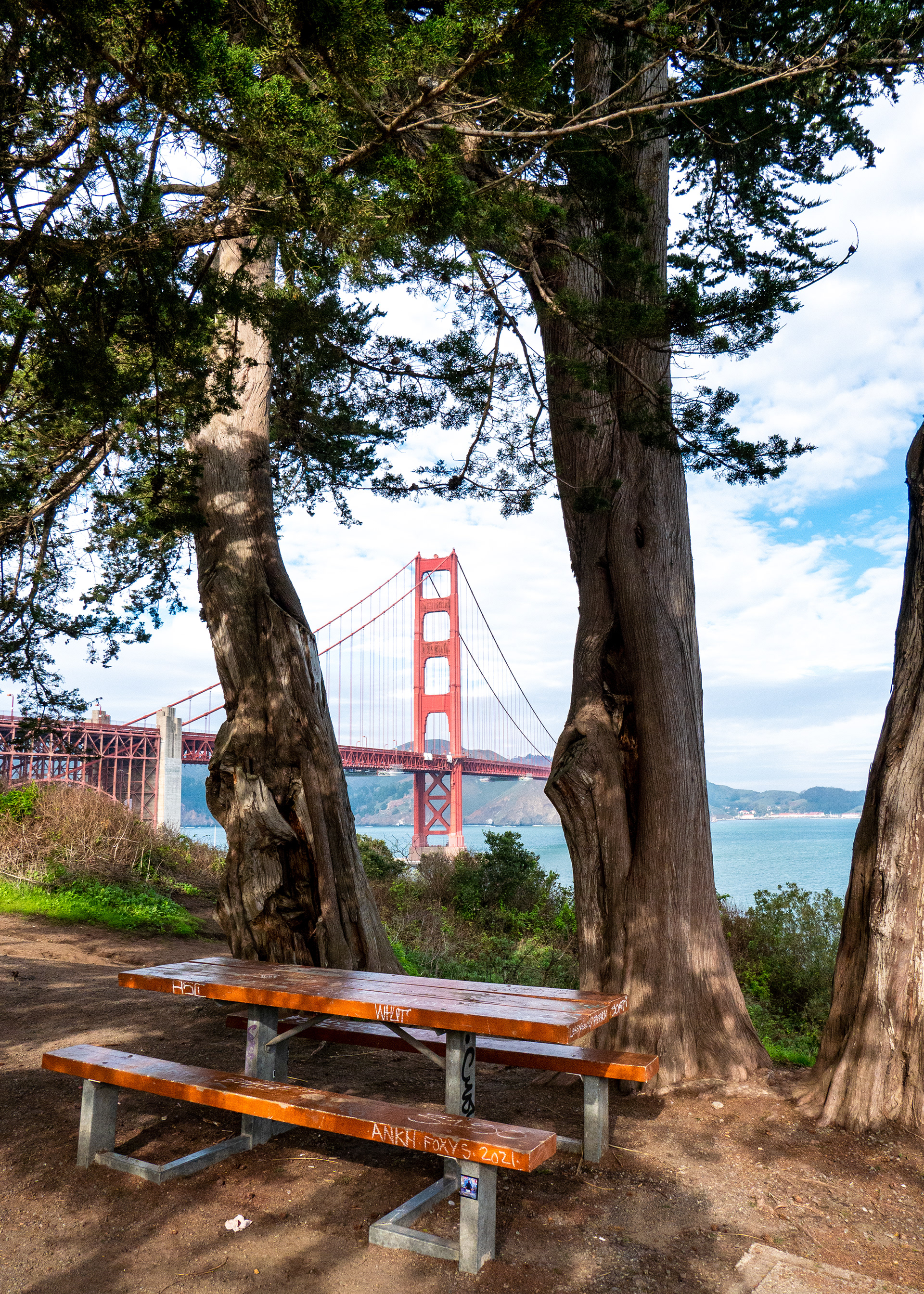 Picnic Table View
