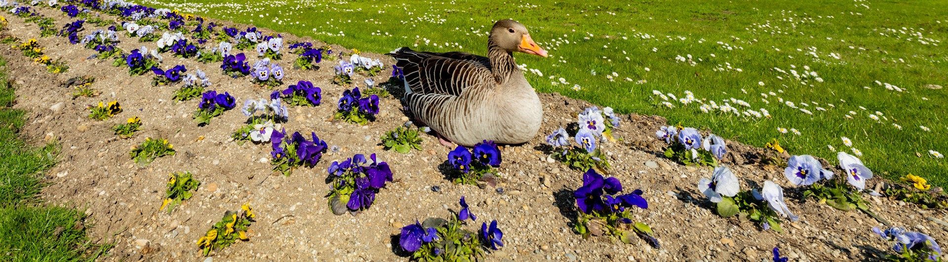 April 2021 München Nymphenburg
