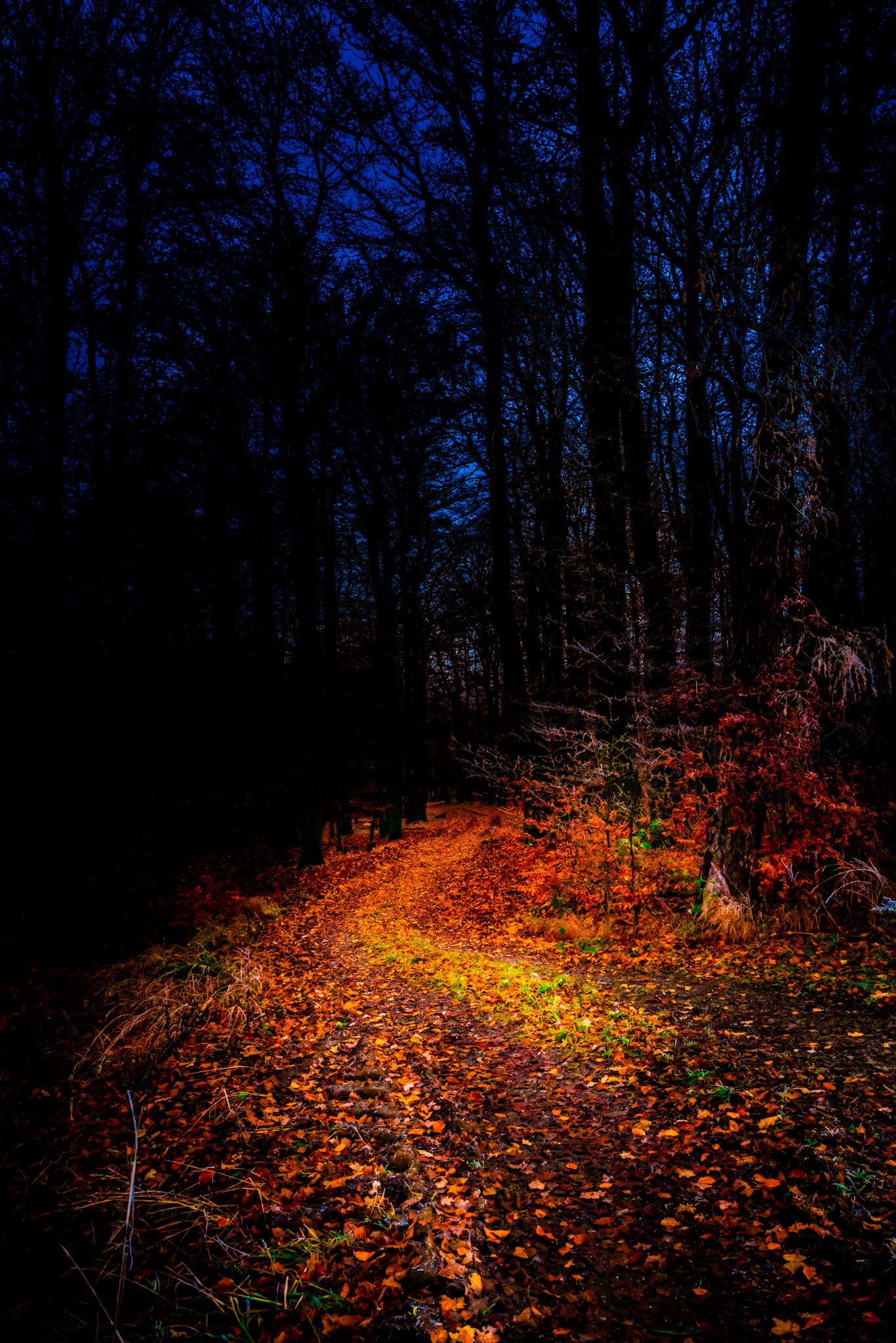 Dezember 2019 Wetzler