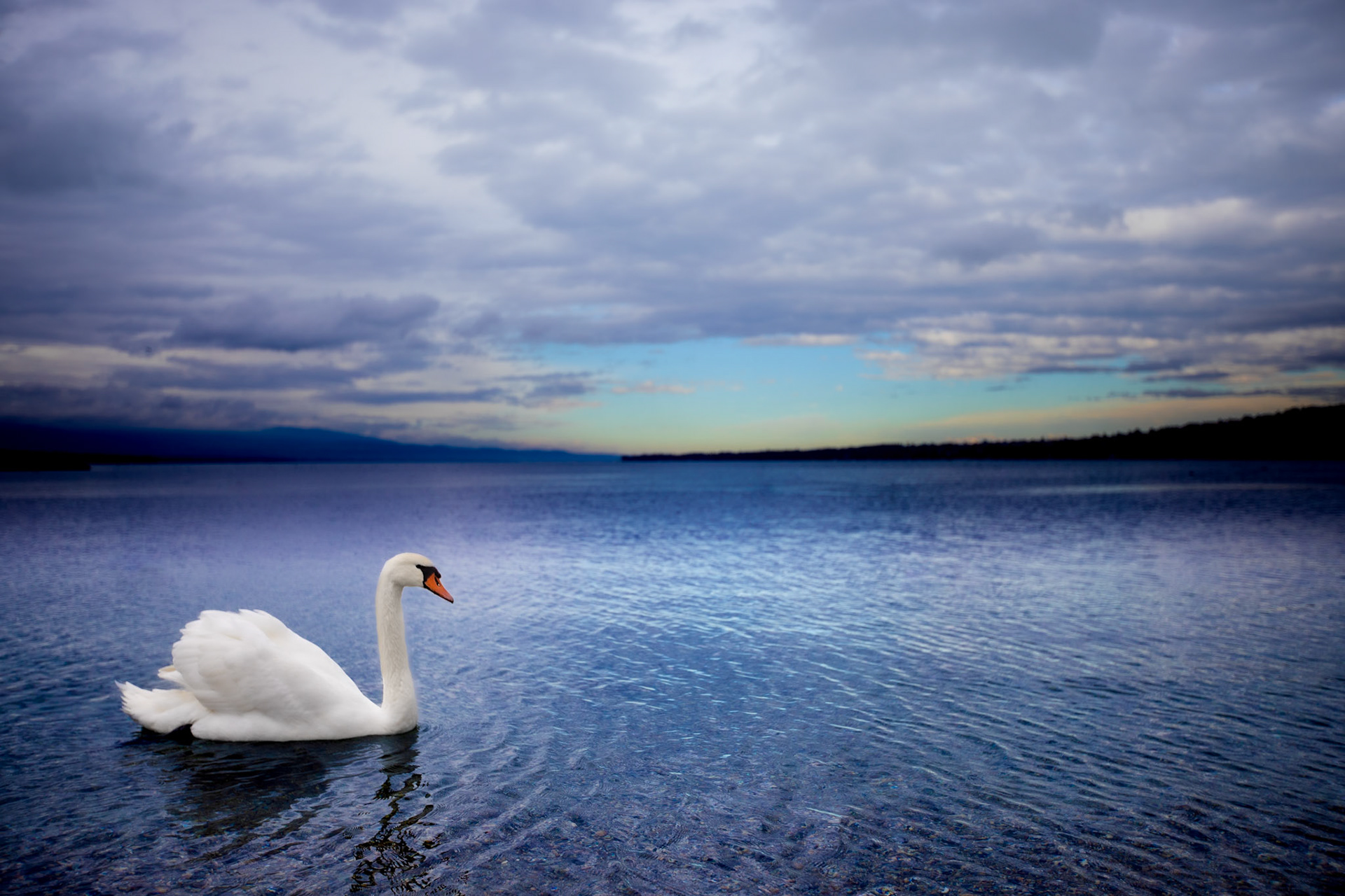 November 2018 Schweitz Genfersee