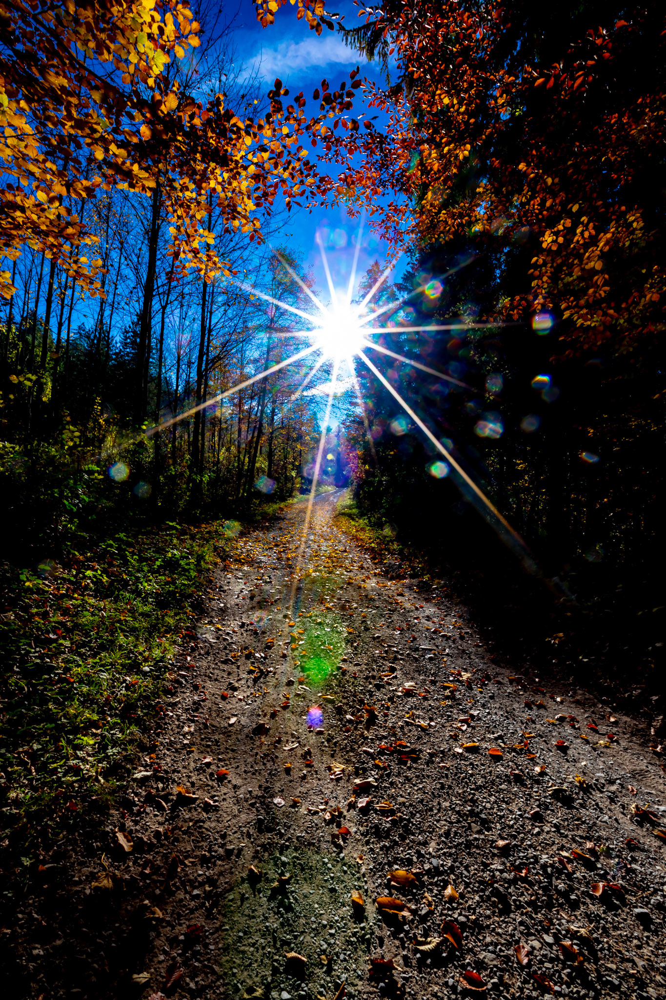 November 2018 Liechtenstein