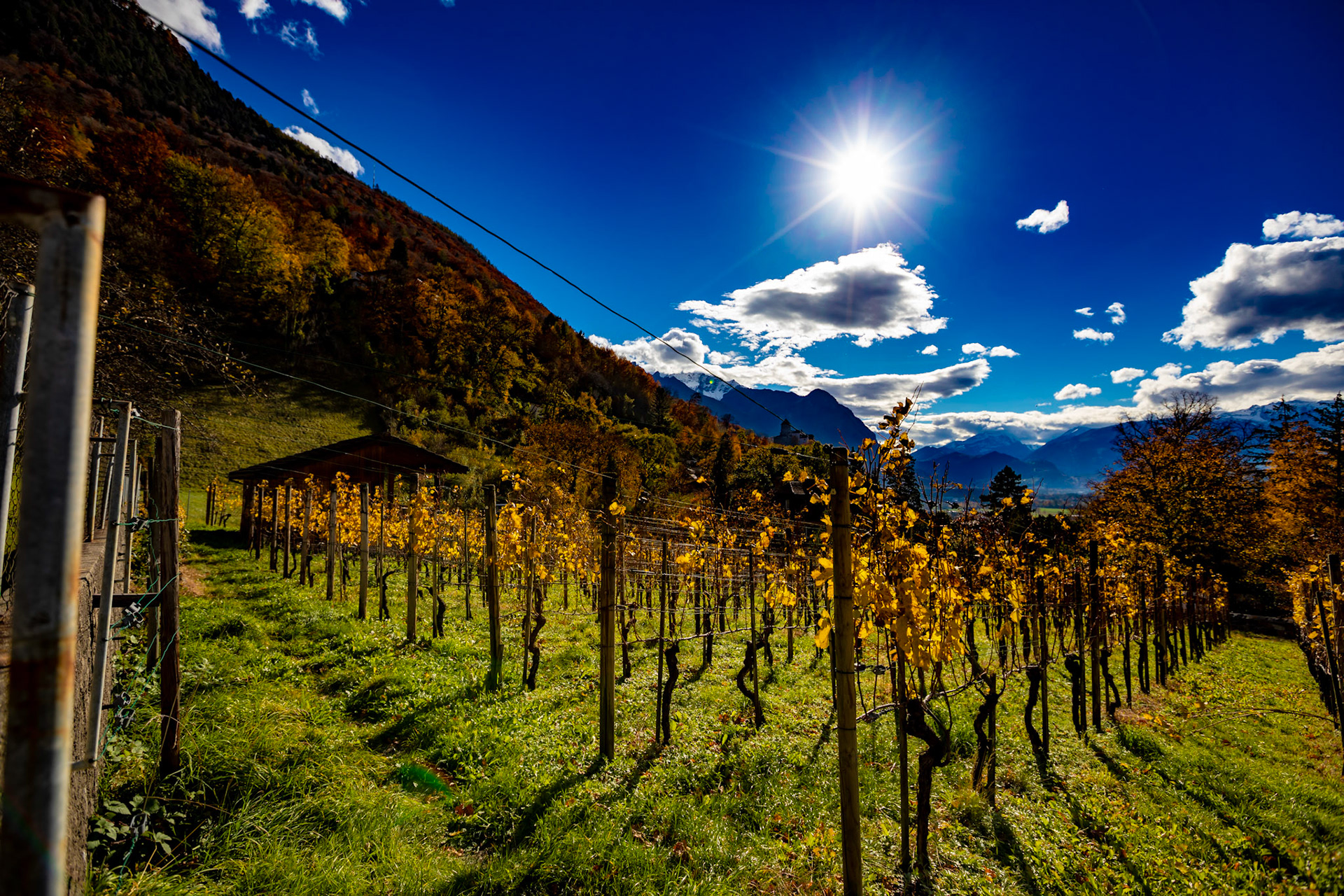 November 2018 Liechtenstein