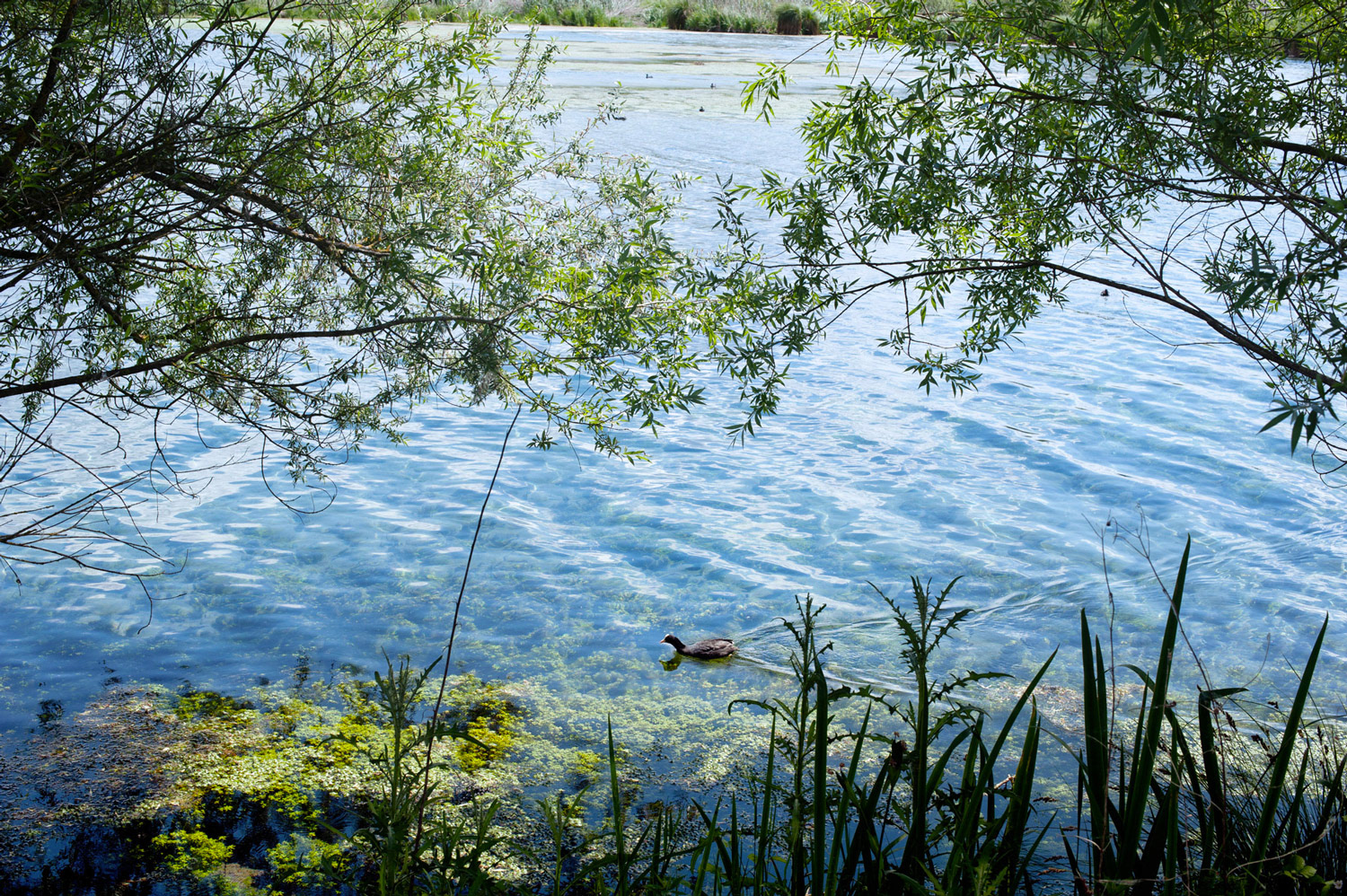 Riserva Naturale Lago di Posta Fibreno, Italia