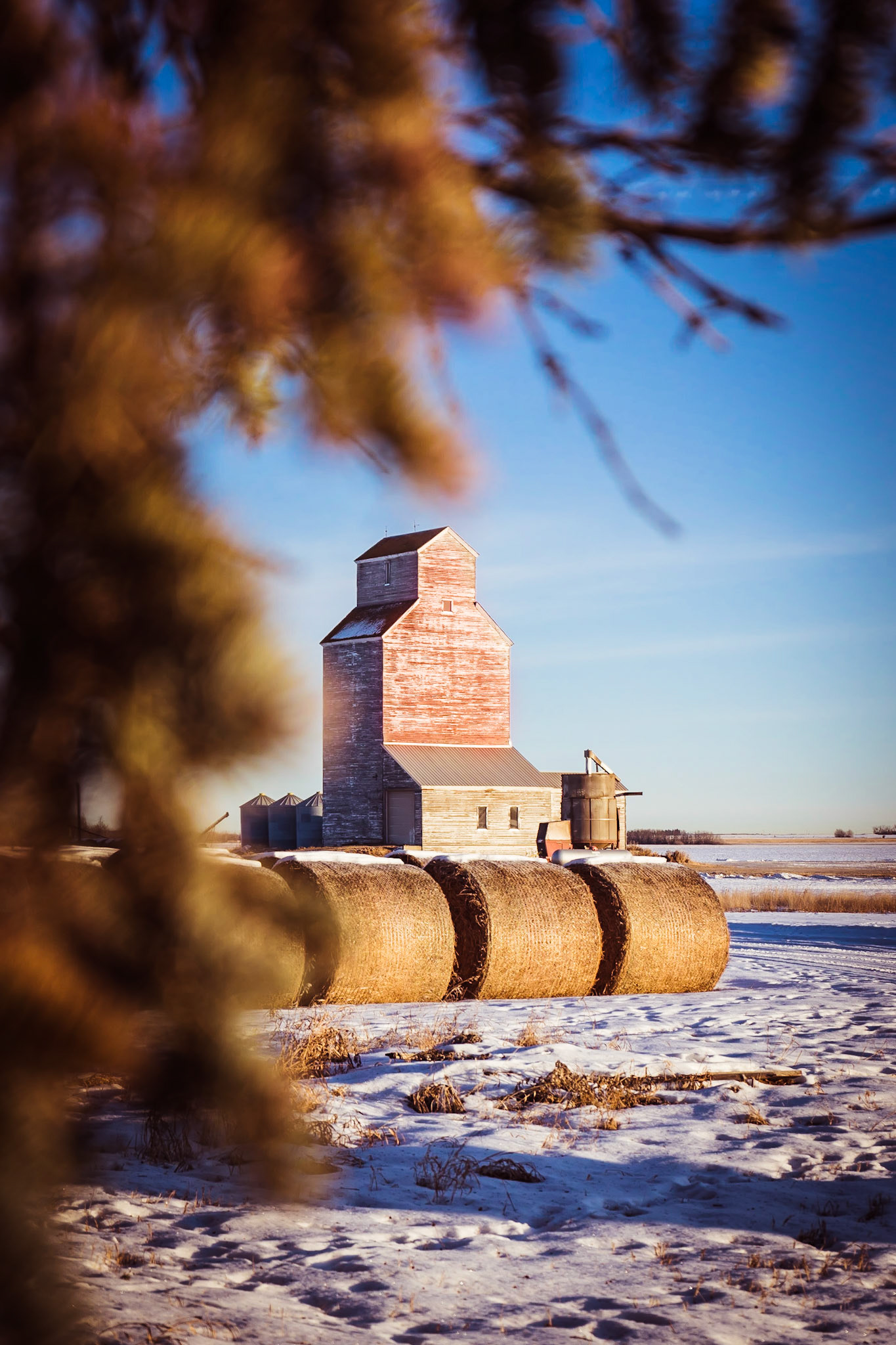 Albertan country side is nothing without hay bales.