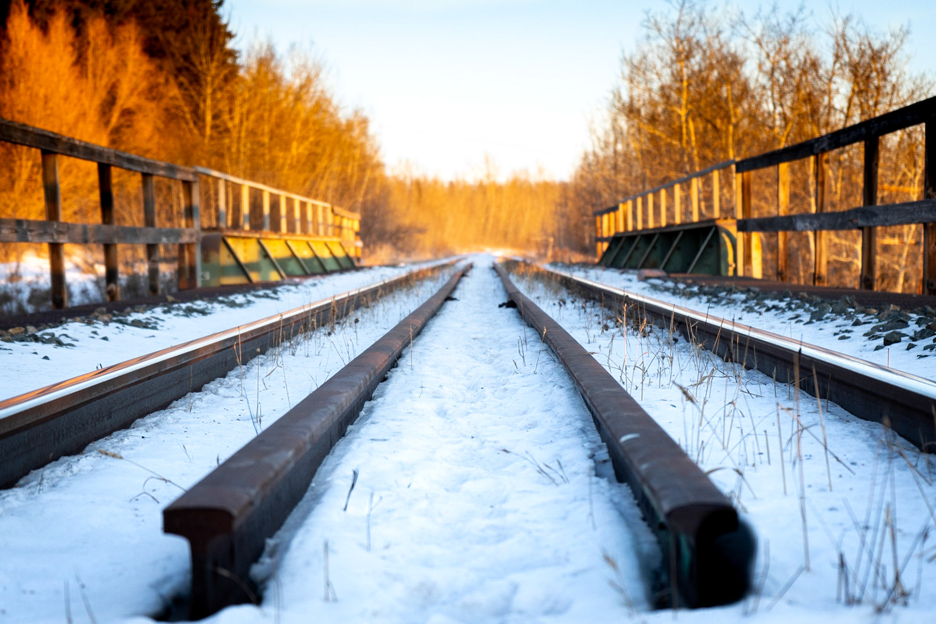 I got lucky with this shot during sunrise. The colours of this shot were hardly adjusted - the sun hitting those tree's really looked this incredible.