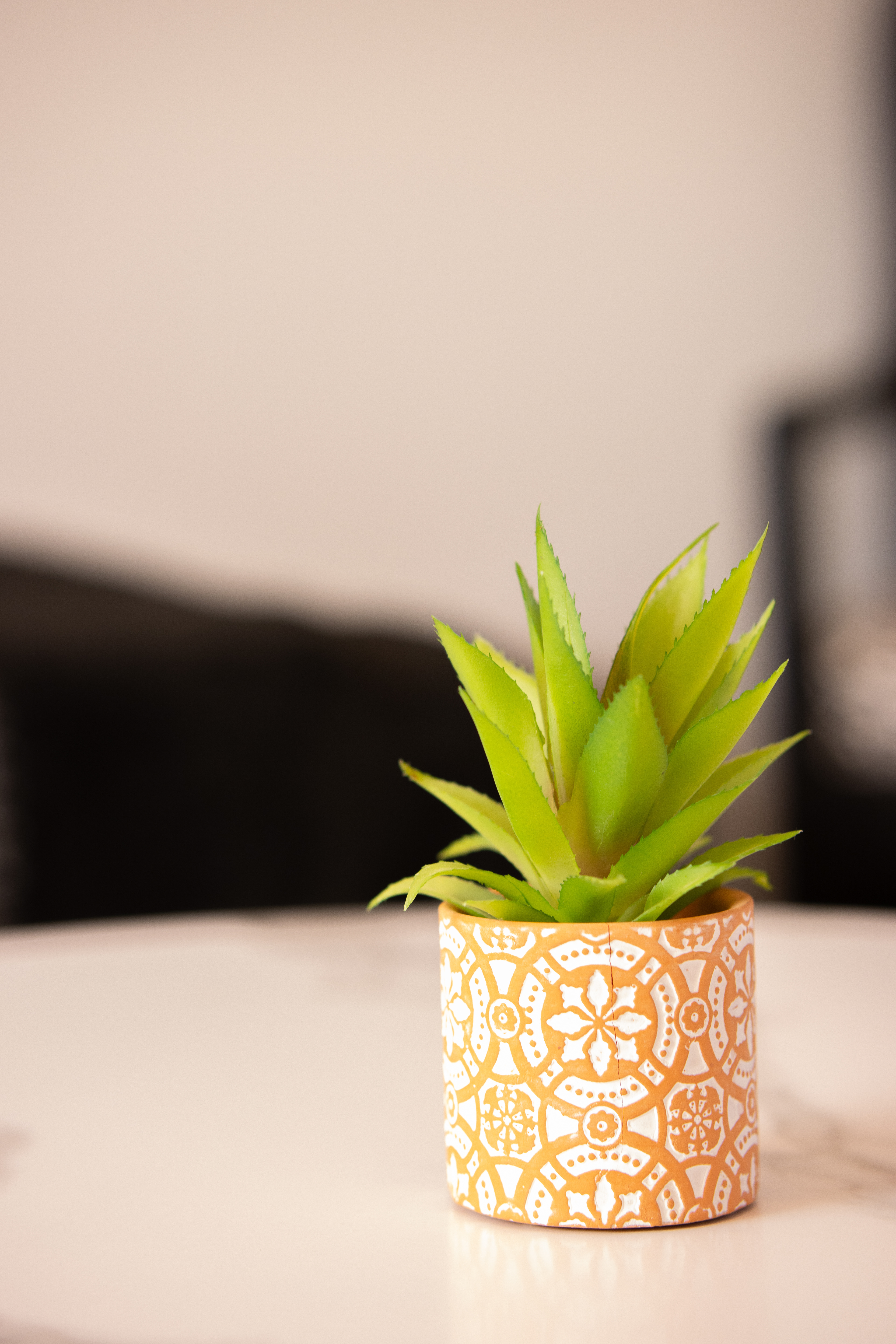 Succulent decor detail