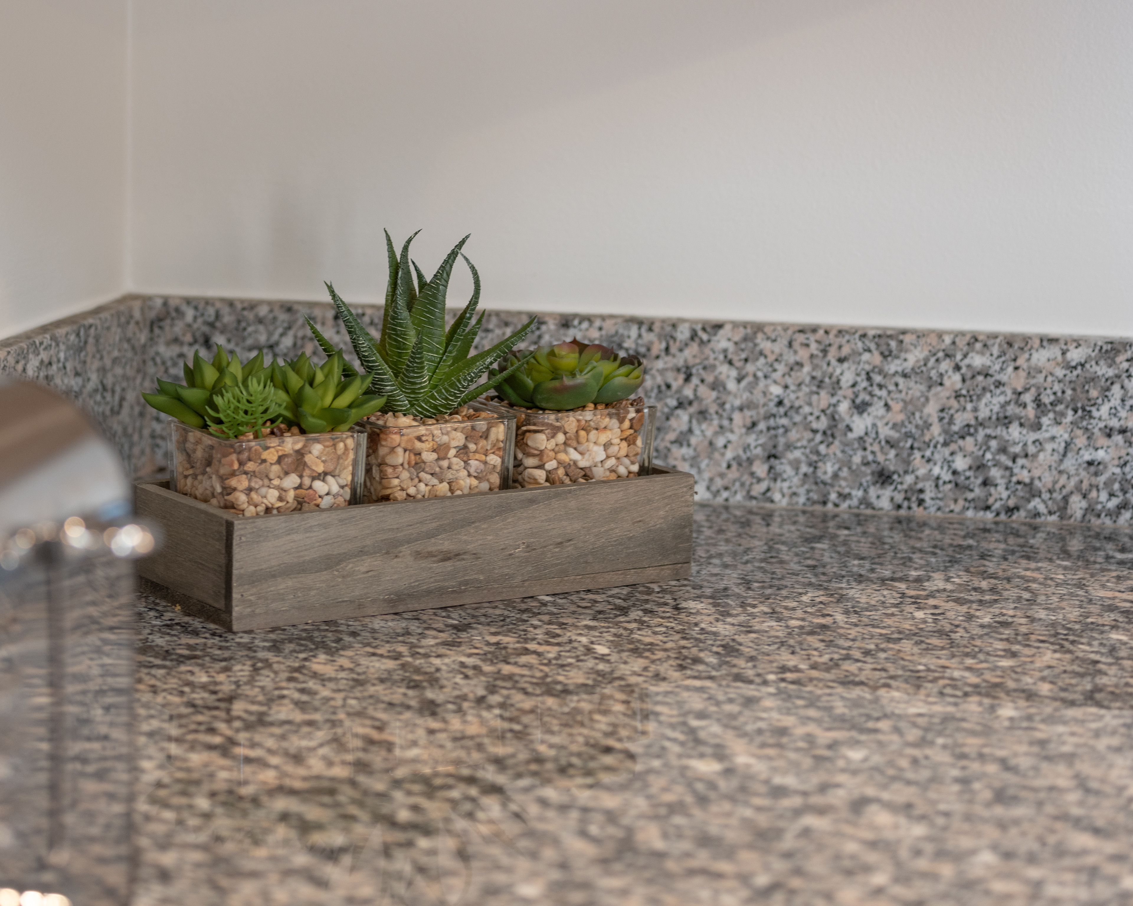 Succulents on a granite counter