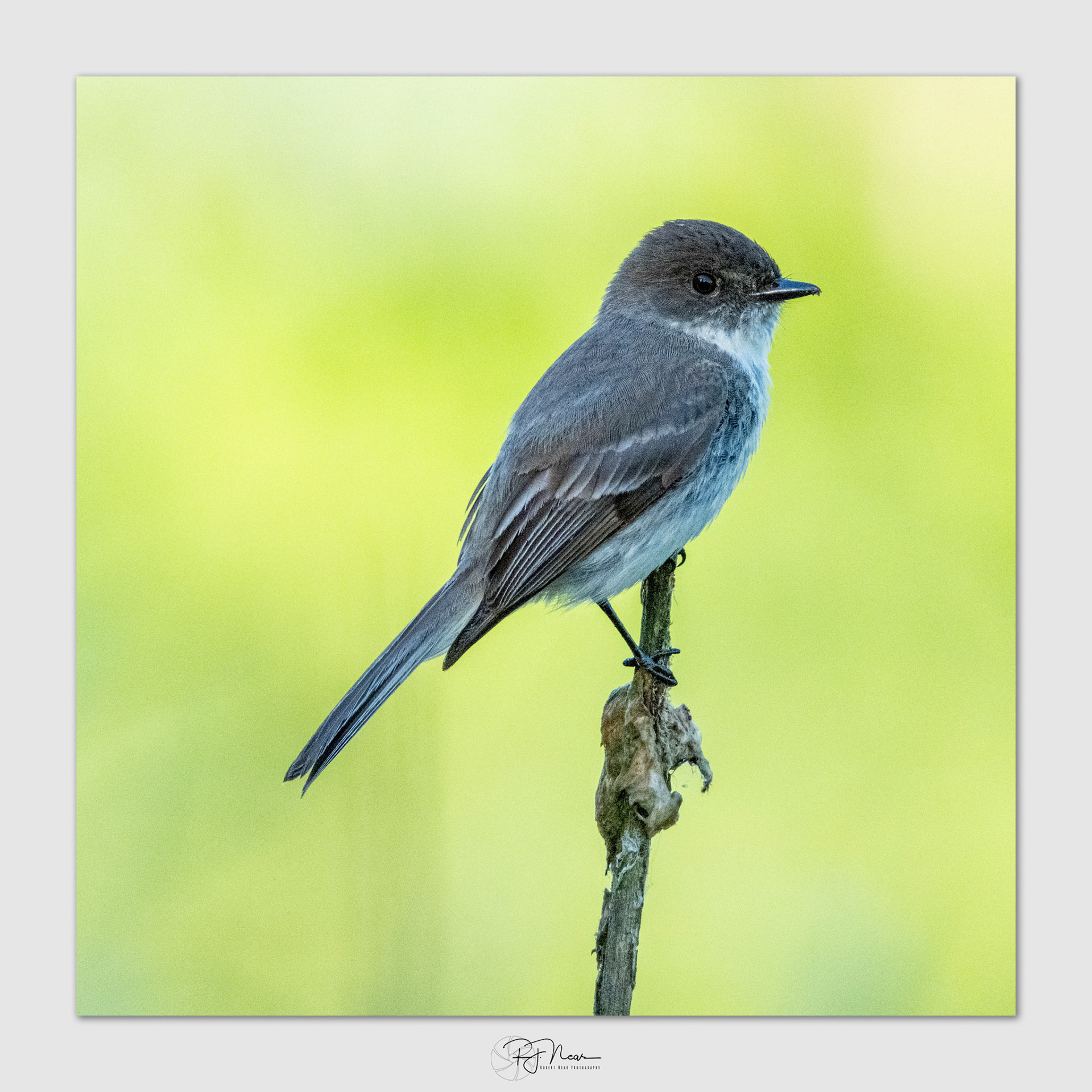 5-27-25-Local-X-T5-15450