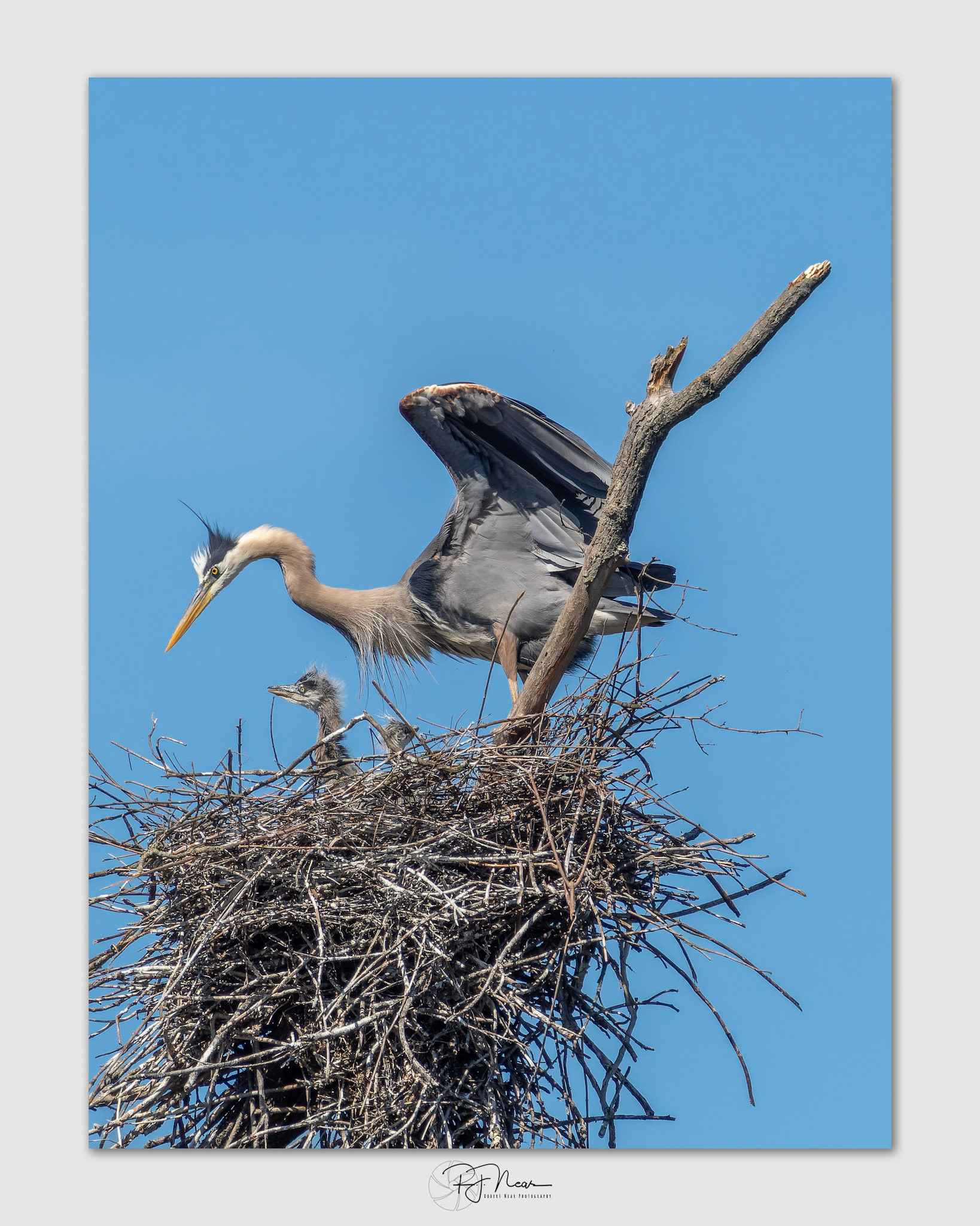 MayOM1B0366-ORF_DxO-PR