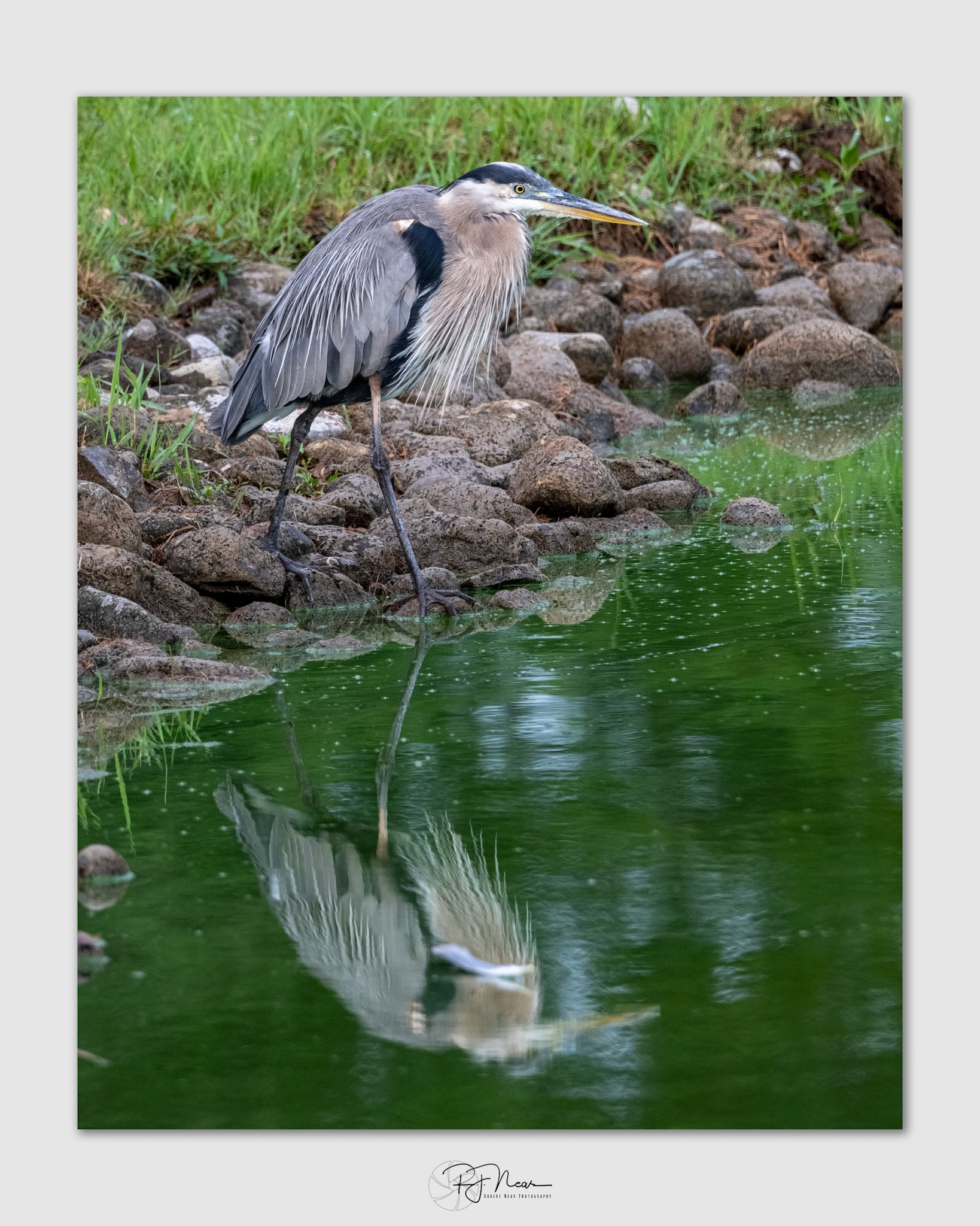 8-3-25-Local-X-T5-16794