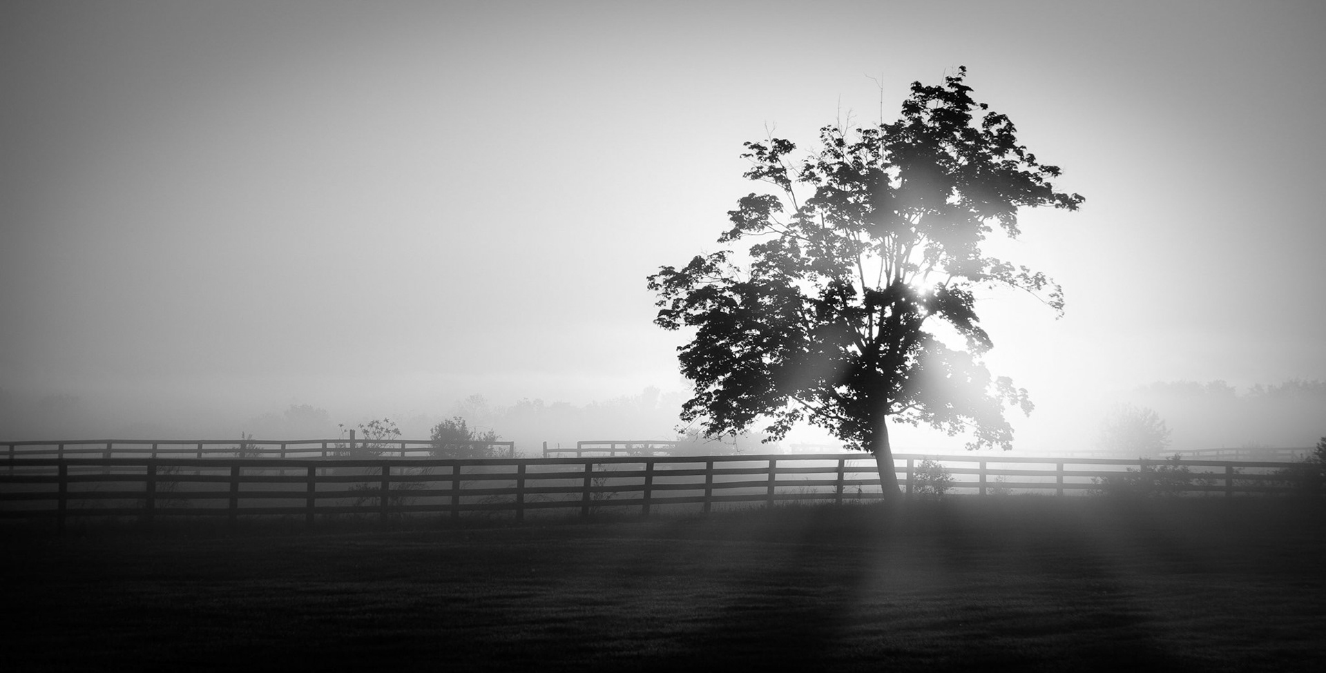 Morning