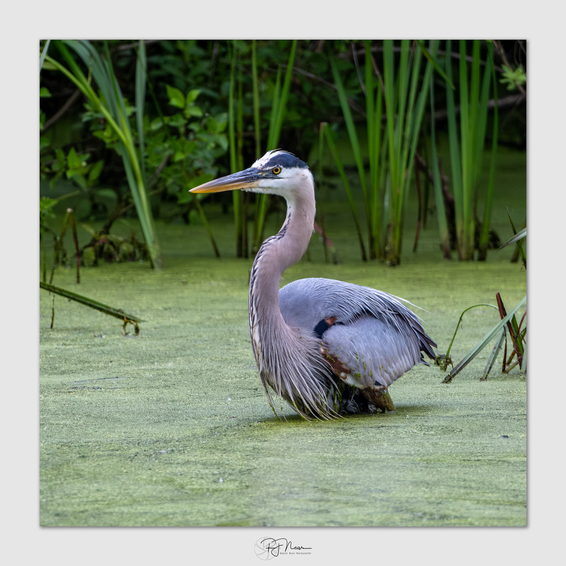 6-16-25-Local-X-T5-15767