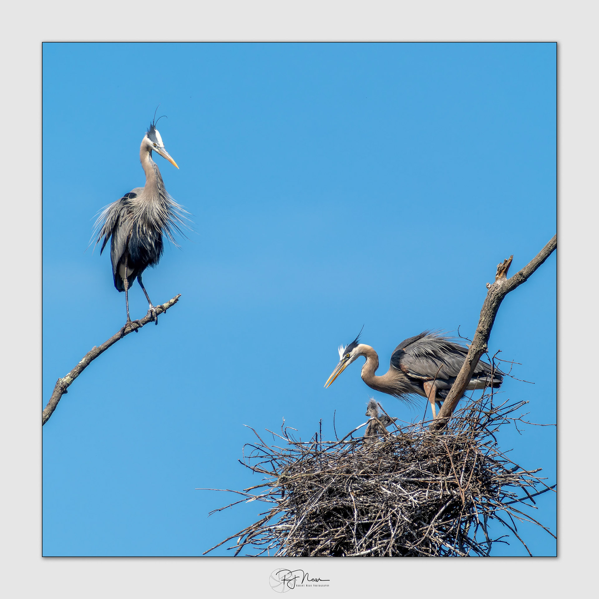 MayOM1B0369-ORF_DxO-PR