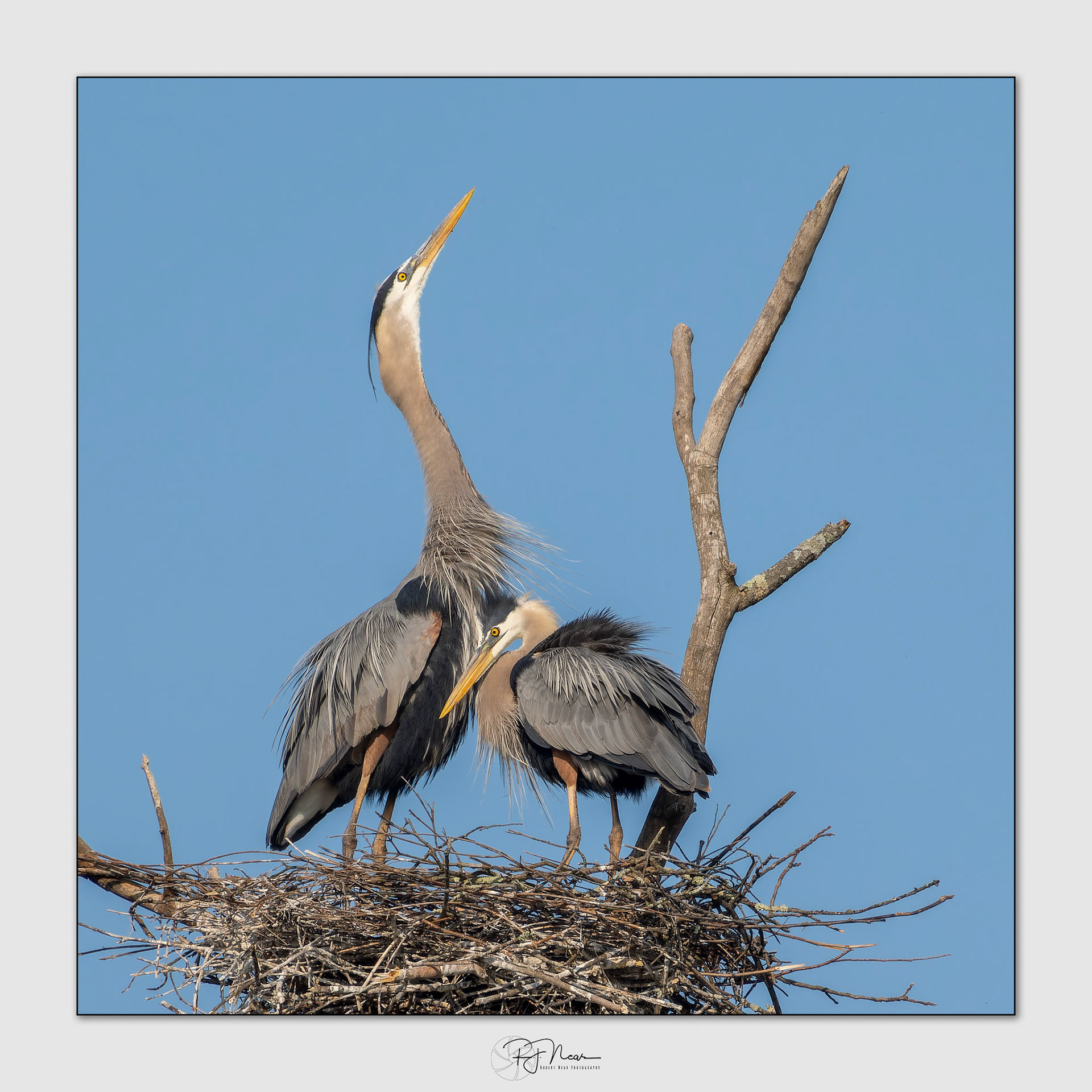 MayOM1B0139-ORF_DxO-PR