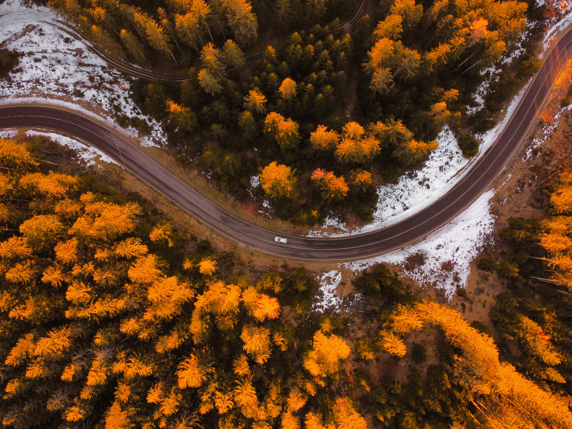 Cruising through the Italian Alps