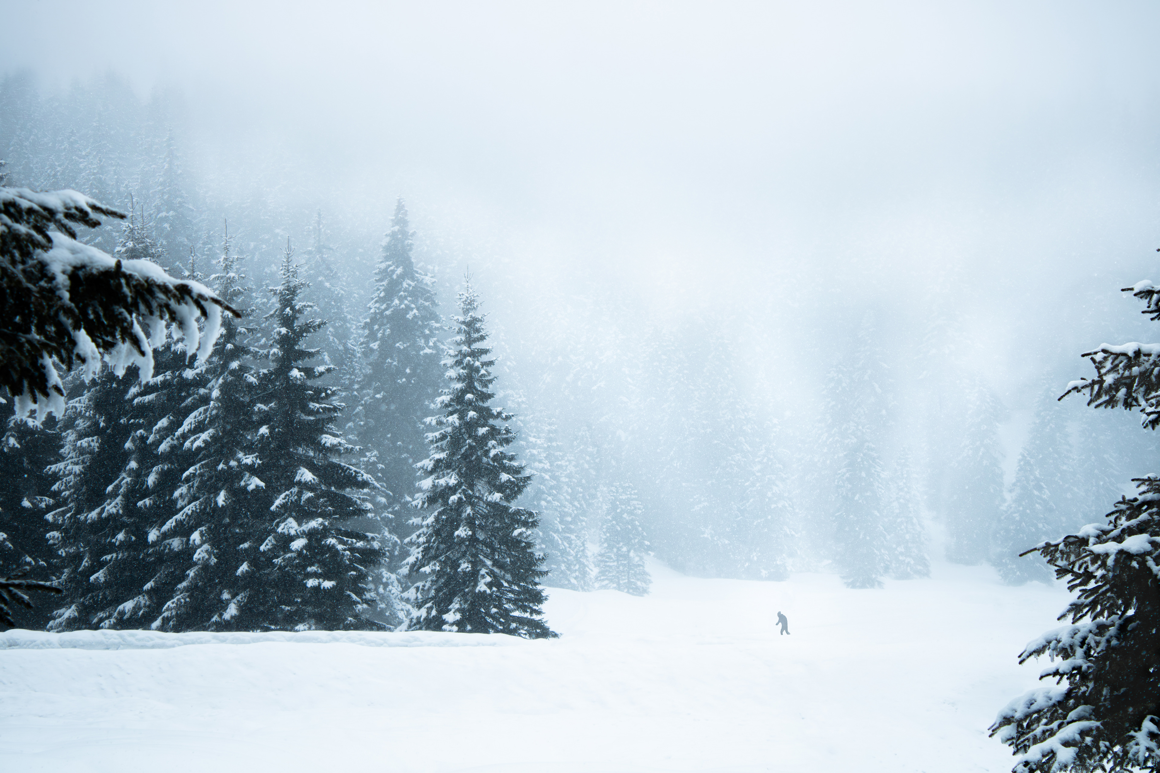 Alone in the Great Outdoors