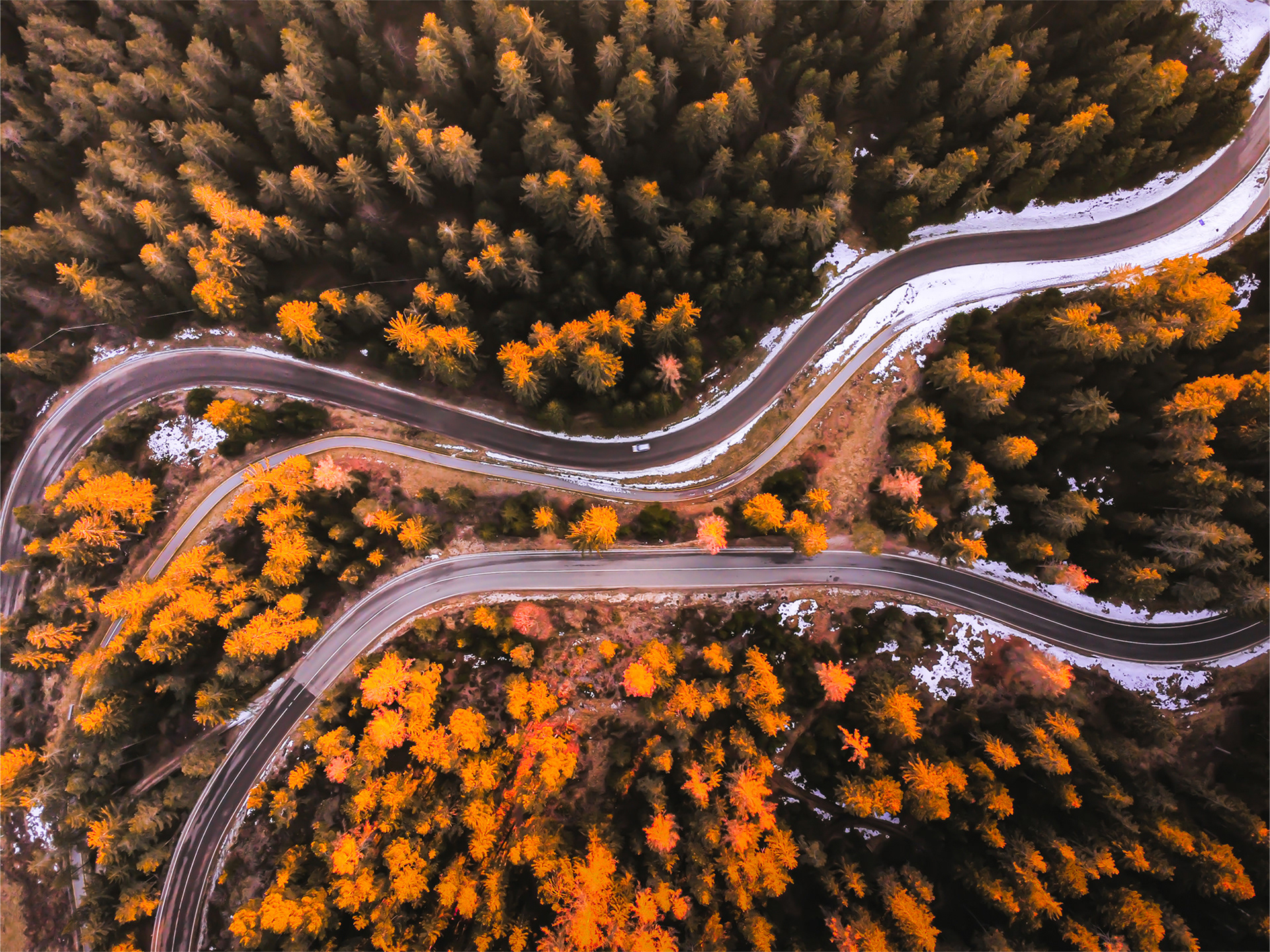 Cruising through the Italian Alps