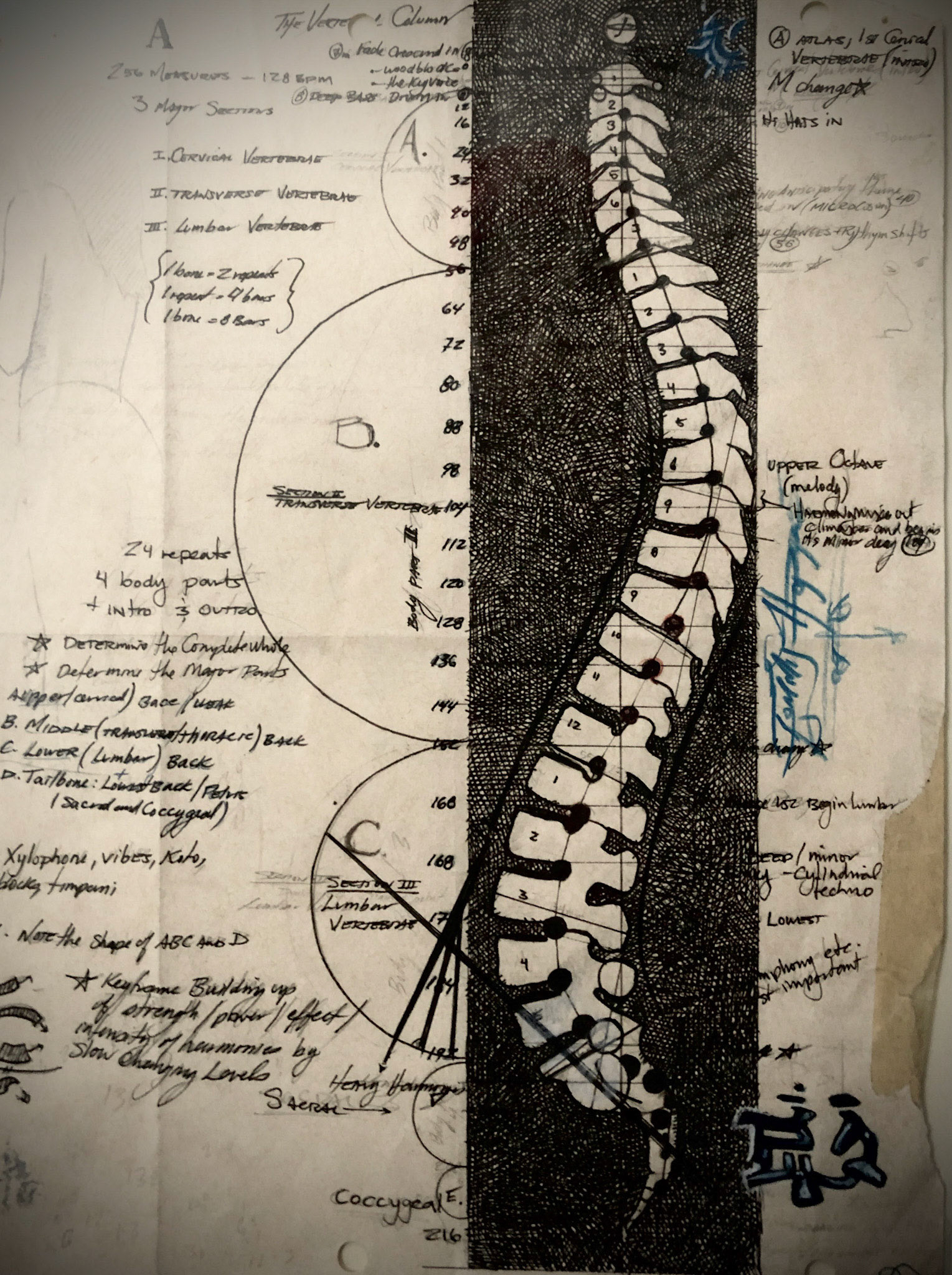 Pencil and Pen on Paper. An analysis of the spinal column, for the  design of a new musical form.