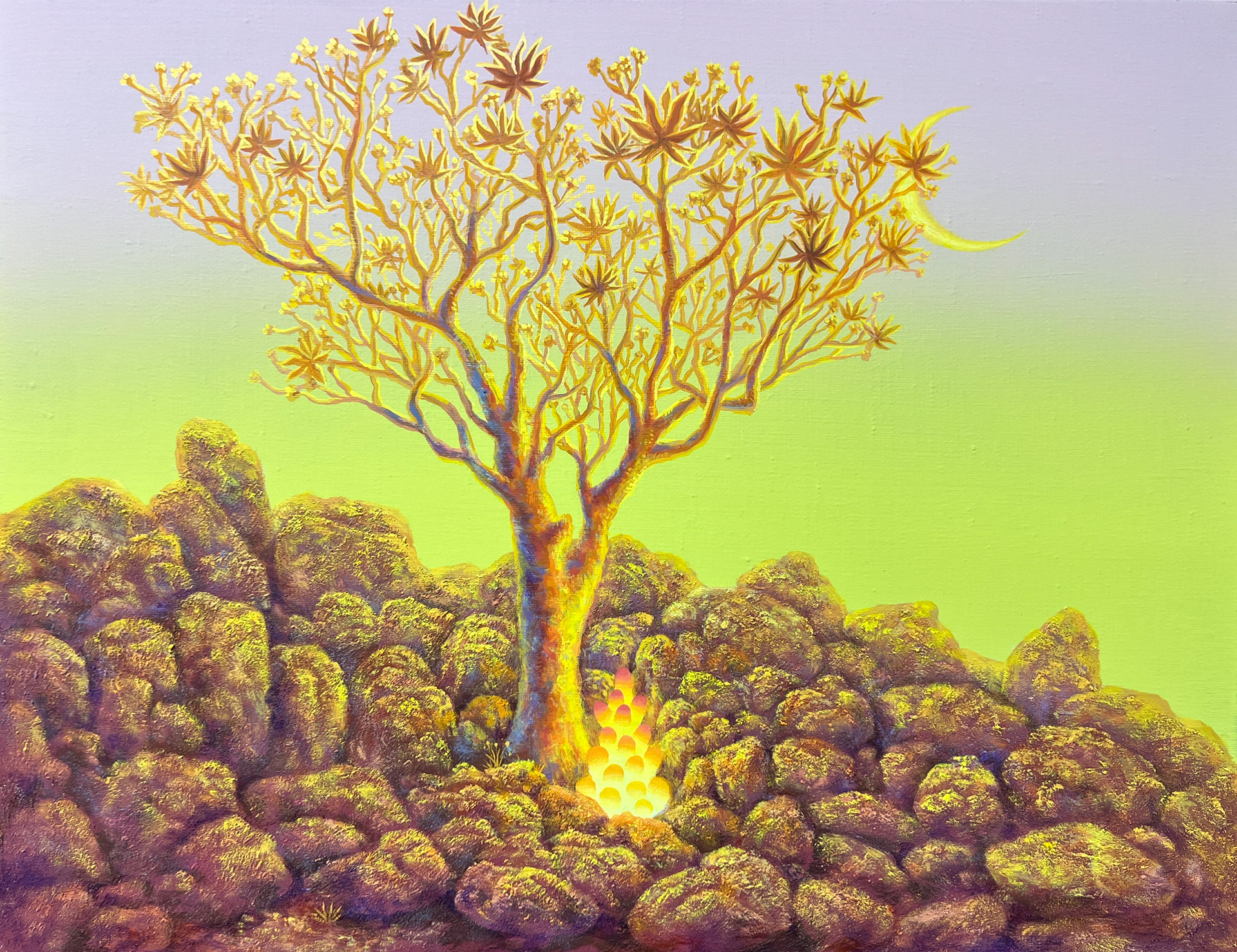 사막정원desert garden_53x40.9cm_acrylic on canvas_2025