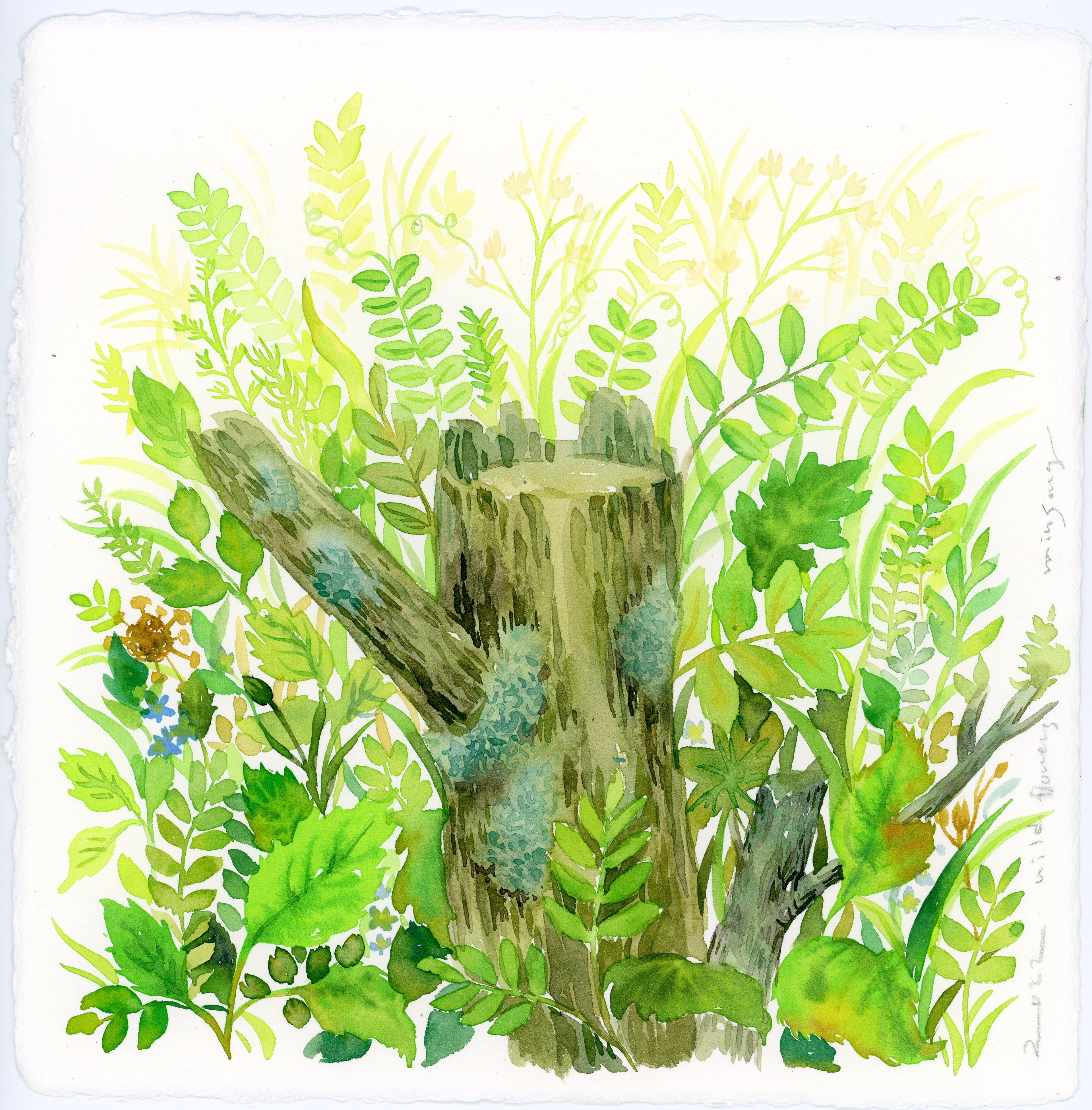 야생화_watercolor on paper_20x20cm_2022