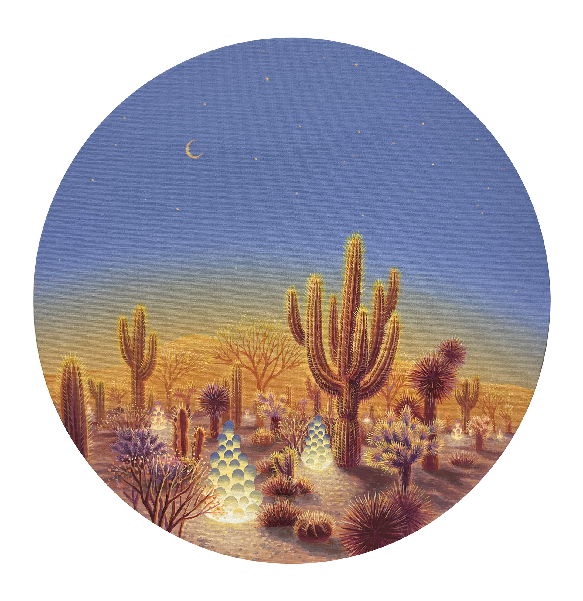 고요한 사막 tranquil desert_40x40cm_acrylic on canvas_2025
