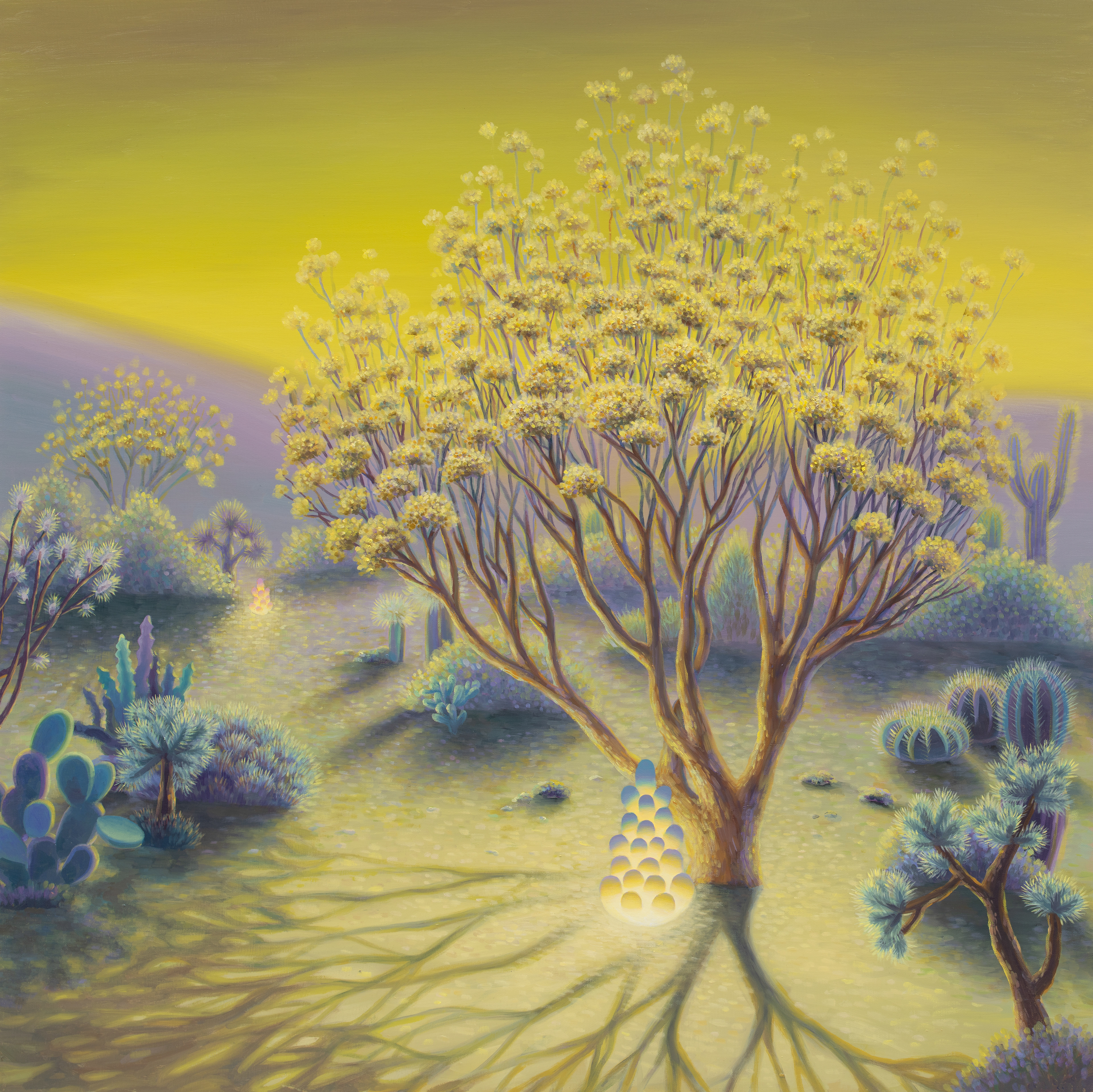 고요한 사막_oil on canvas_91x91cm_2024