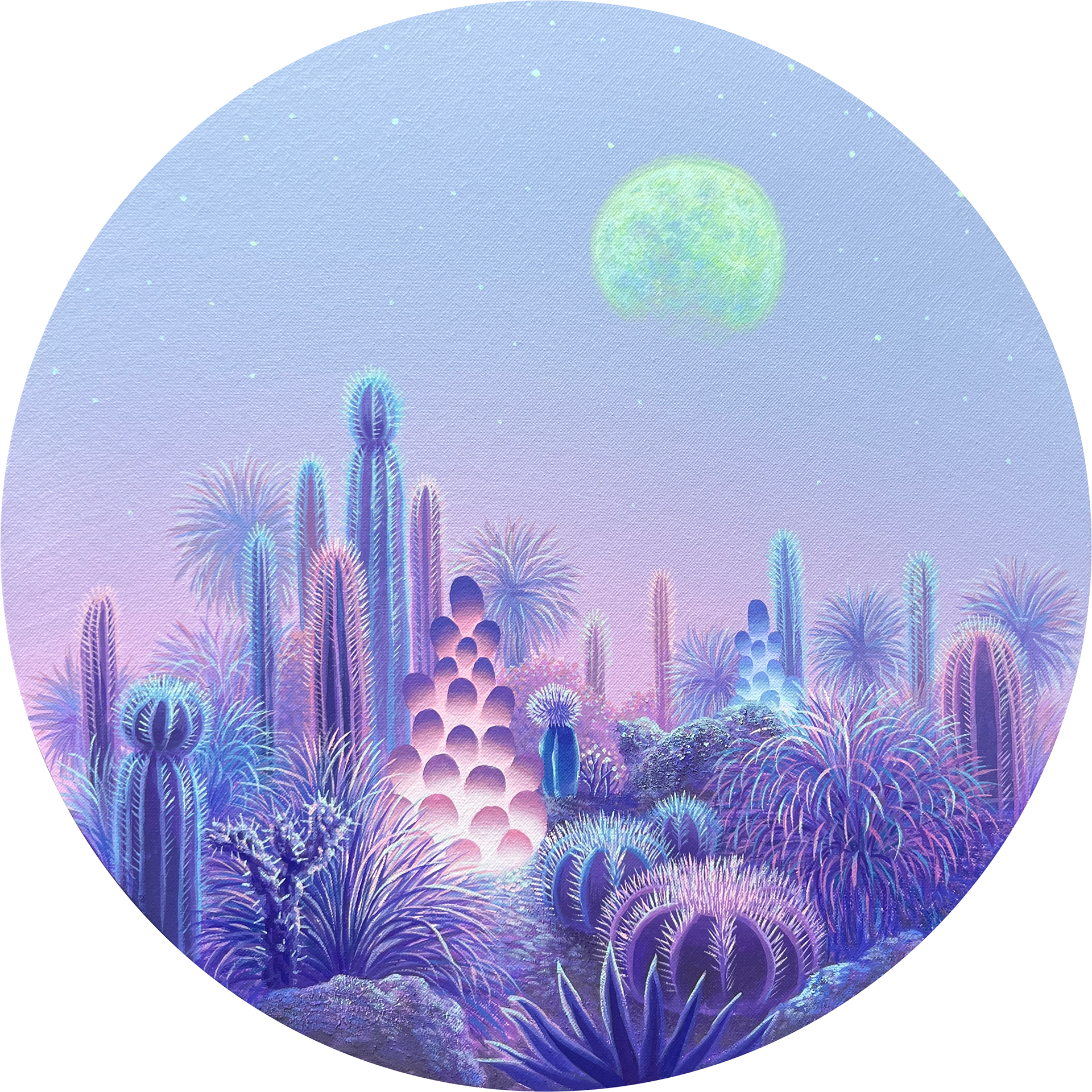 사막의 밤 night in desert_40x40cm_acrylic on canvas_2025