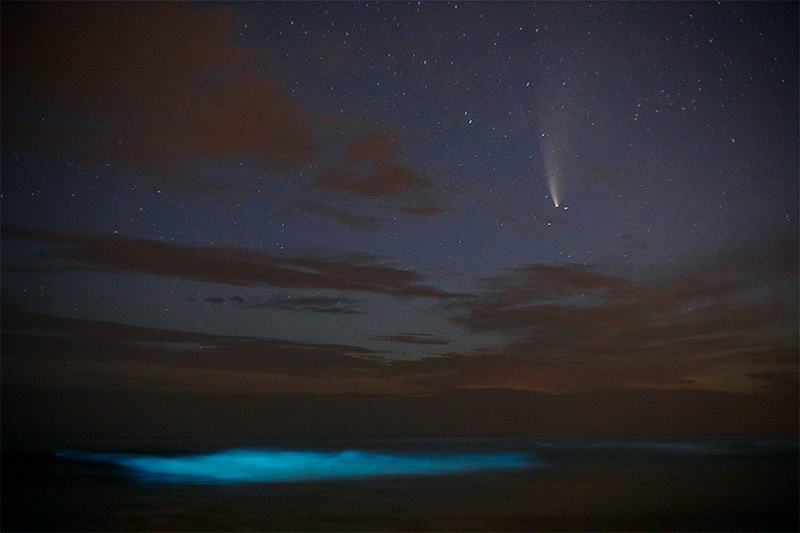 Comet Neowise and seaspark