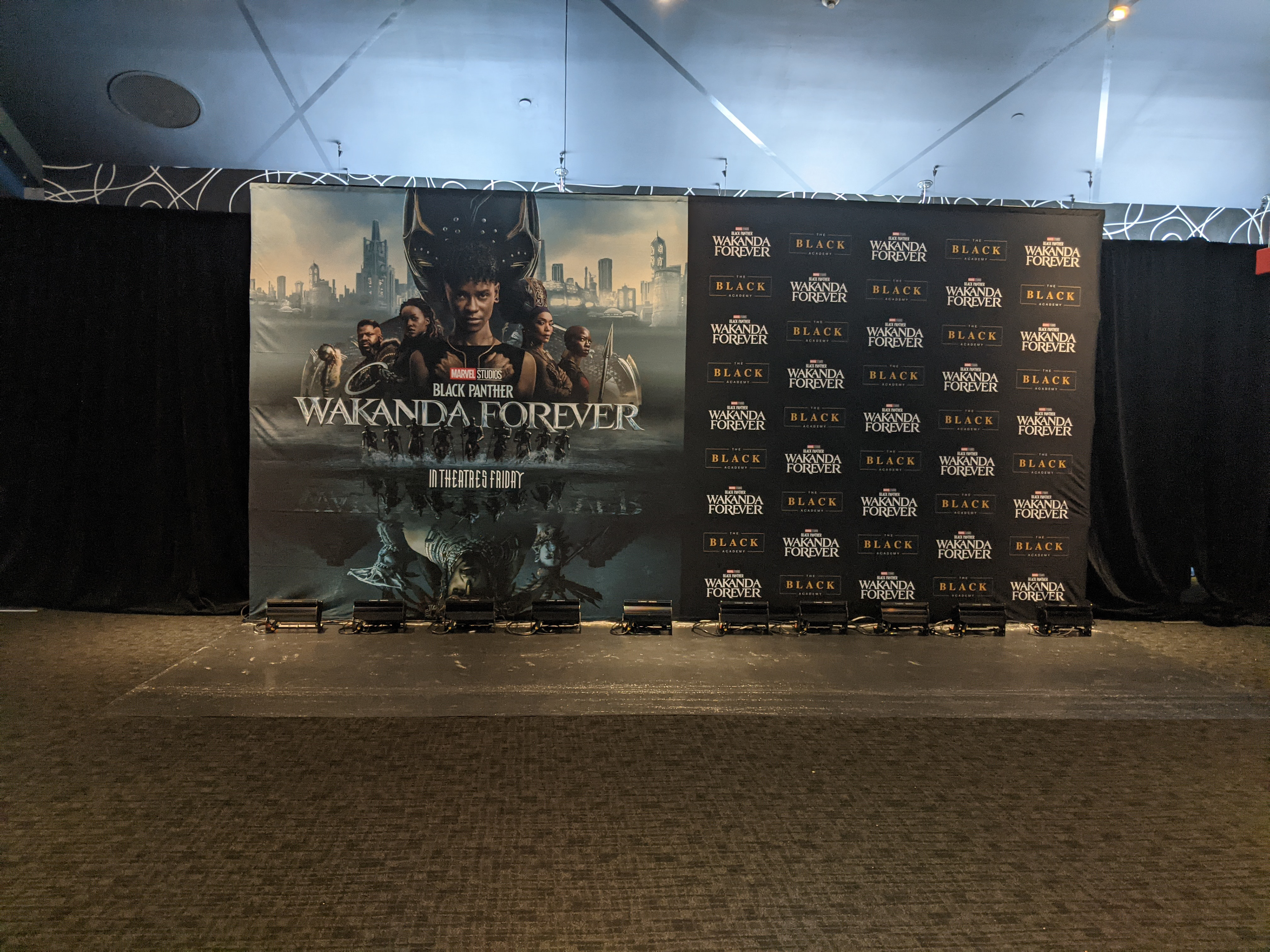 Custom 10 x 35 Step and Repeat with Black Carpet + Lighting
