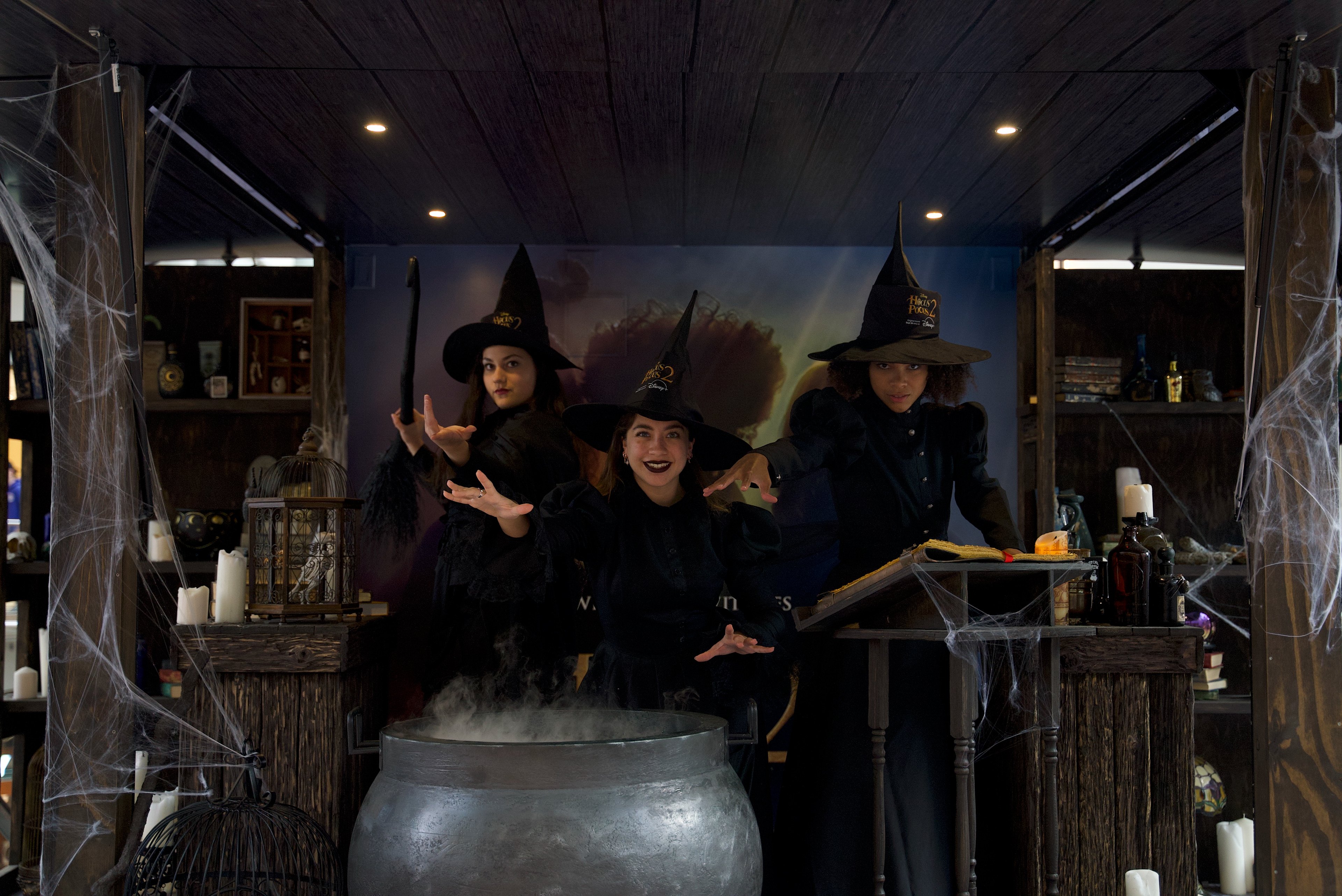 Custom Built Cauldron with Lighting and Smoke