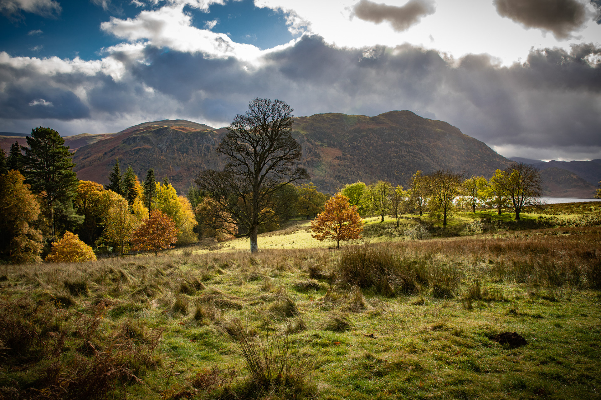 Windermere