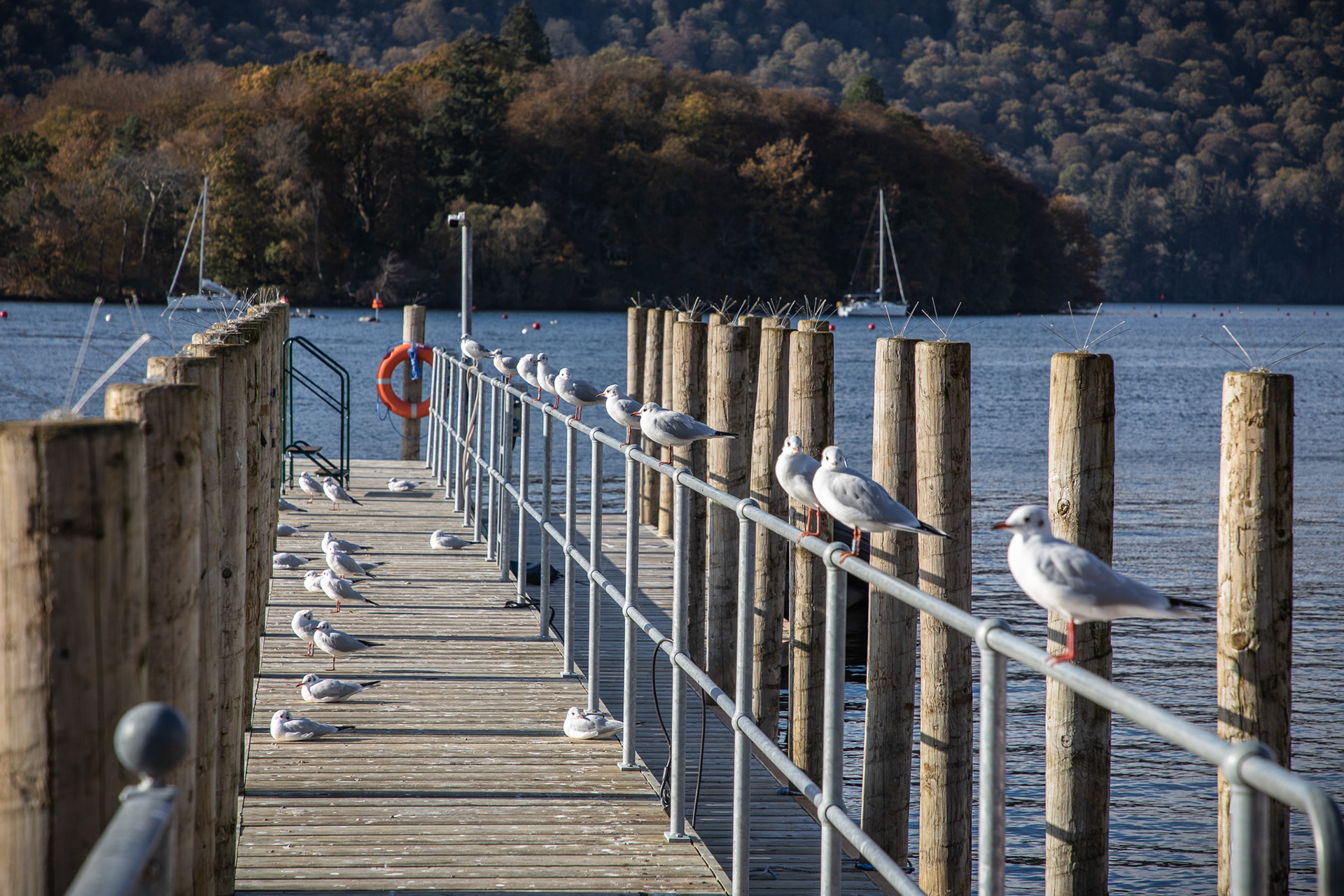 Windermere