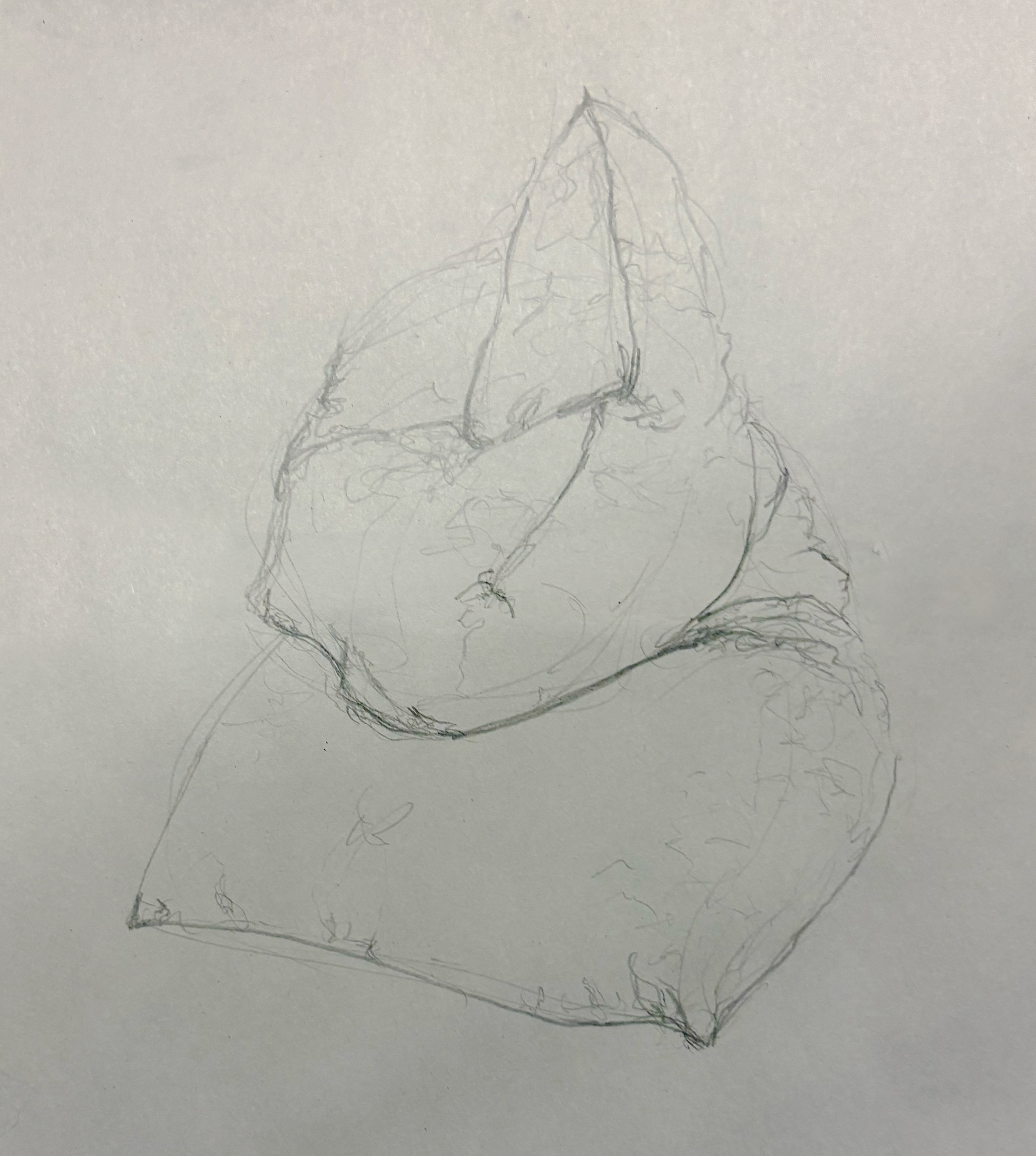 Twisted Pillow (Graphite)