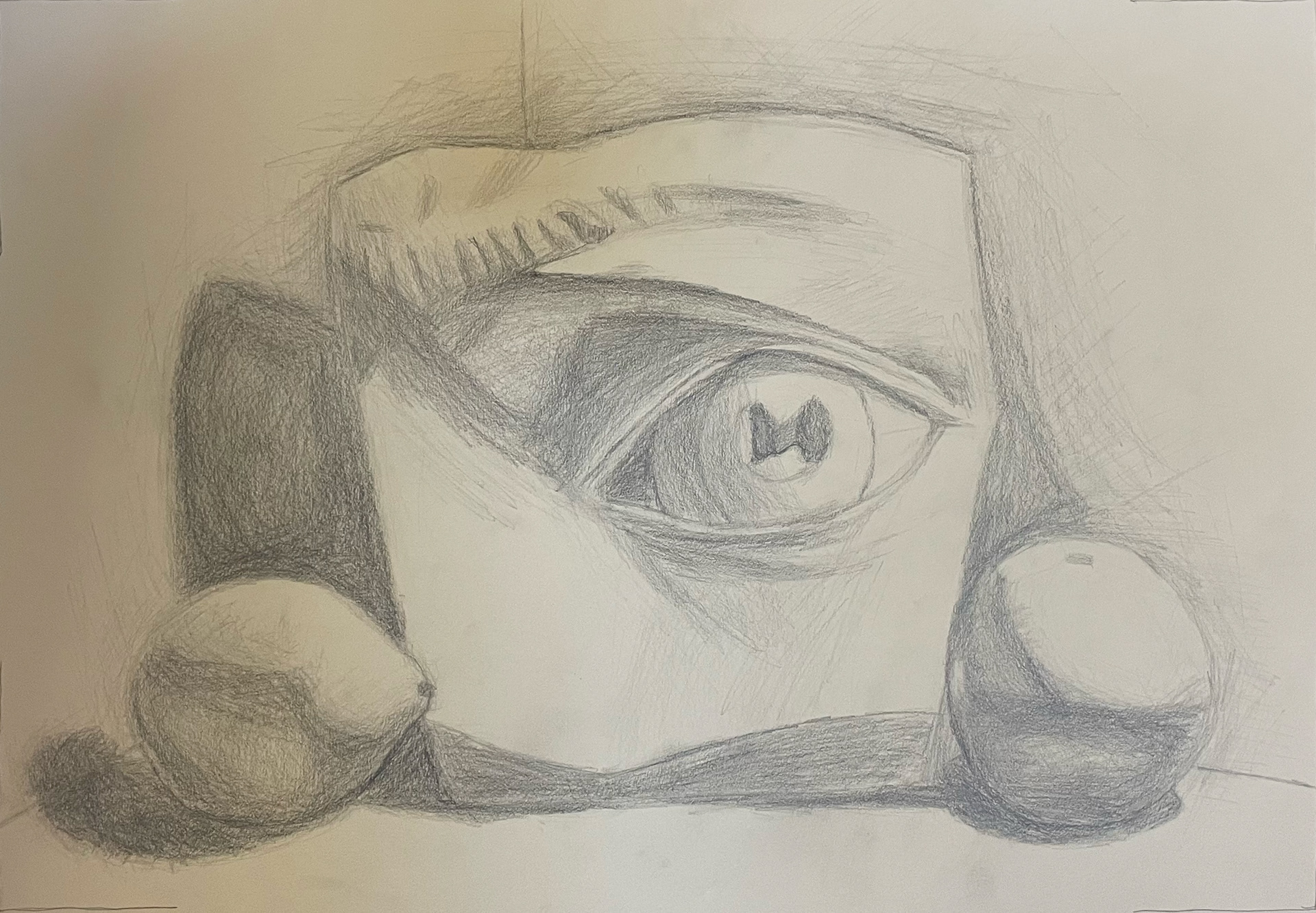 Still Life of David and Citrus (Graphite)