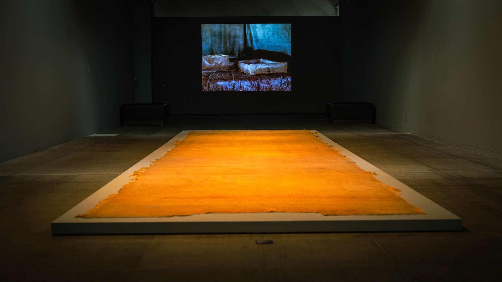 HEIDI BUCHER METAMORPHOSEN I Kunstmuseum Bern