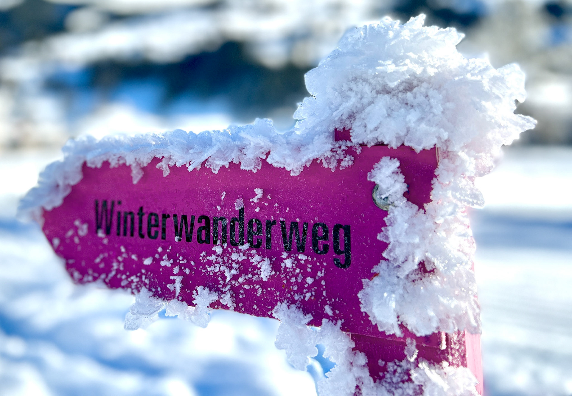 Winterlicher und frostiger Tag in der Lenk
