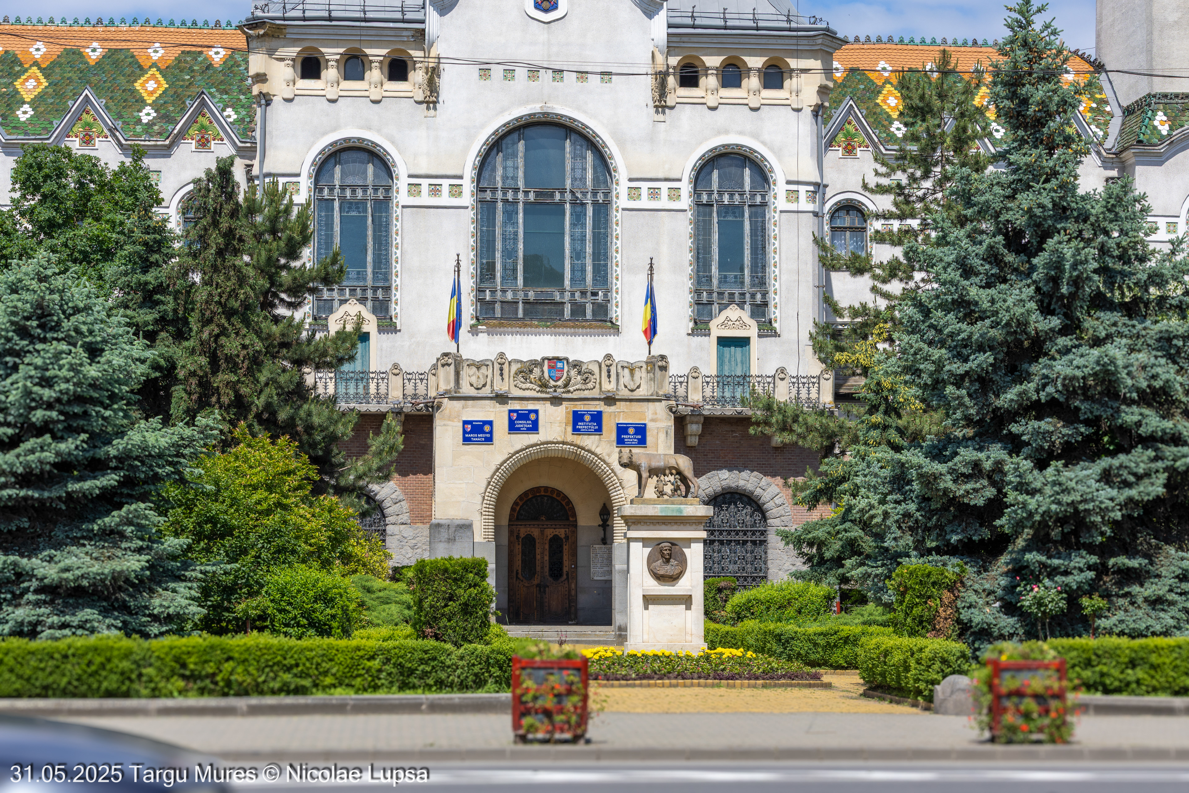 Primaria Targu Mures