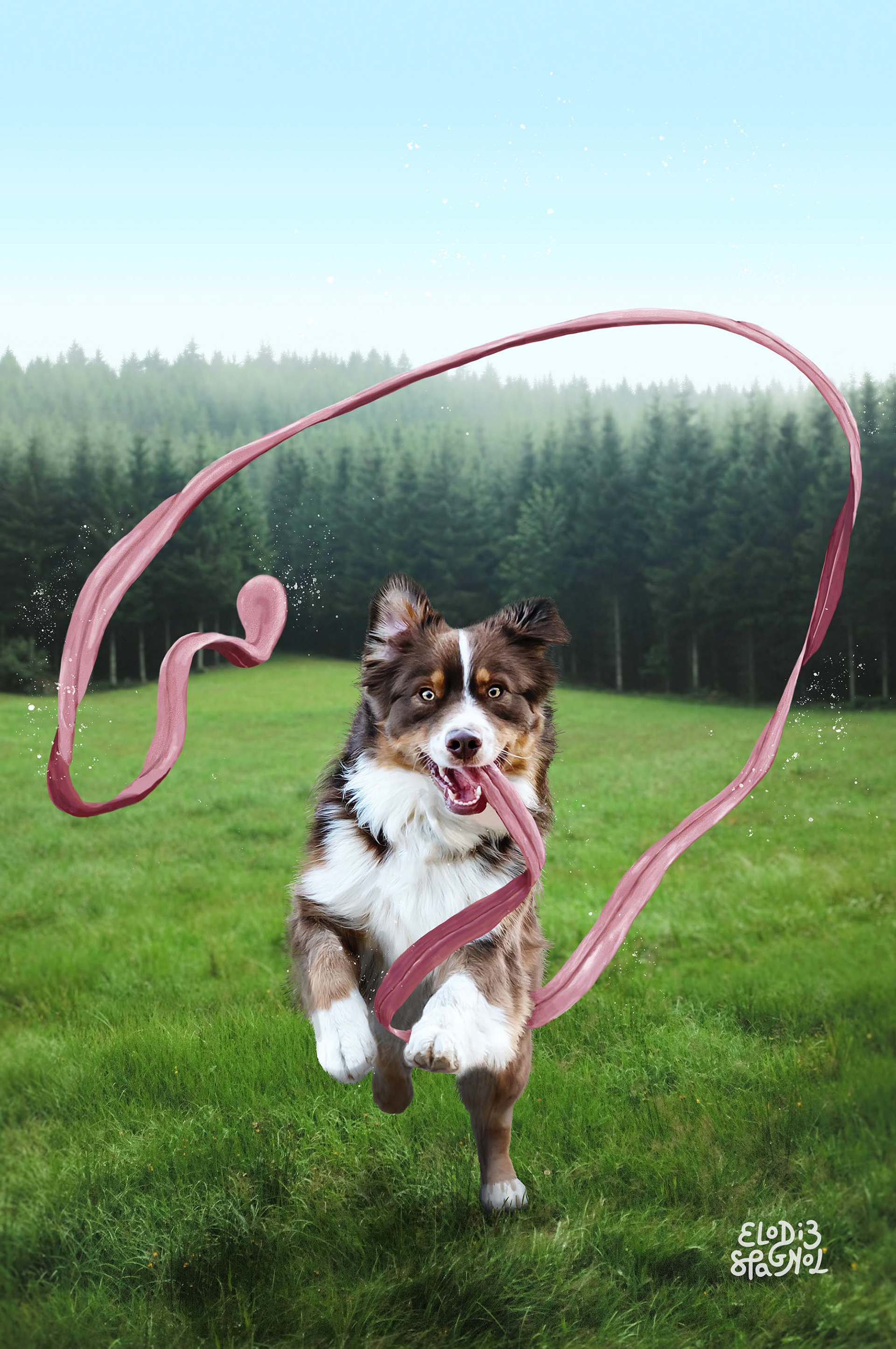 montage photo chien très longue langue
