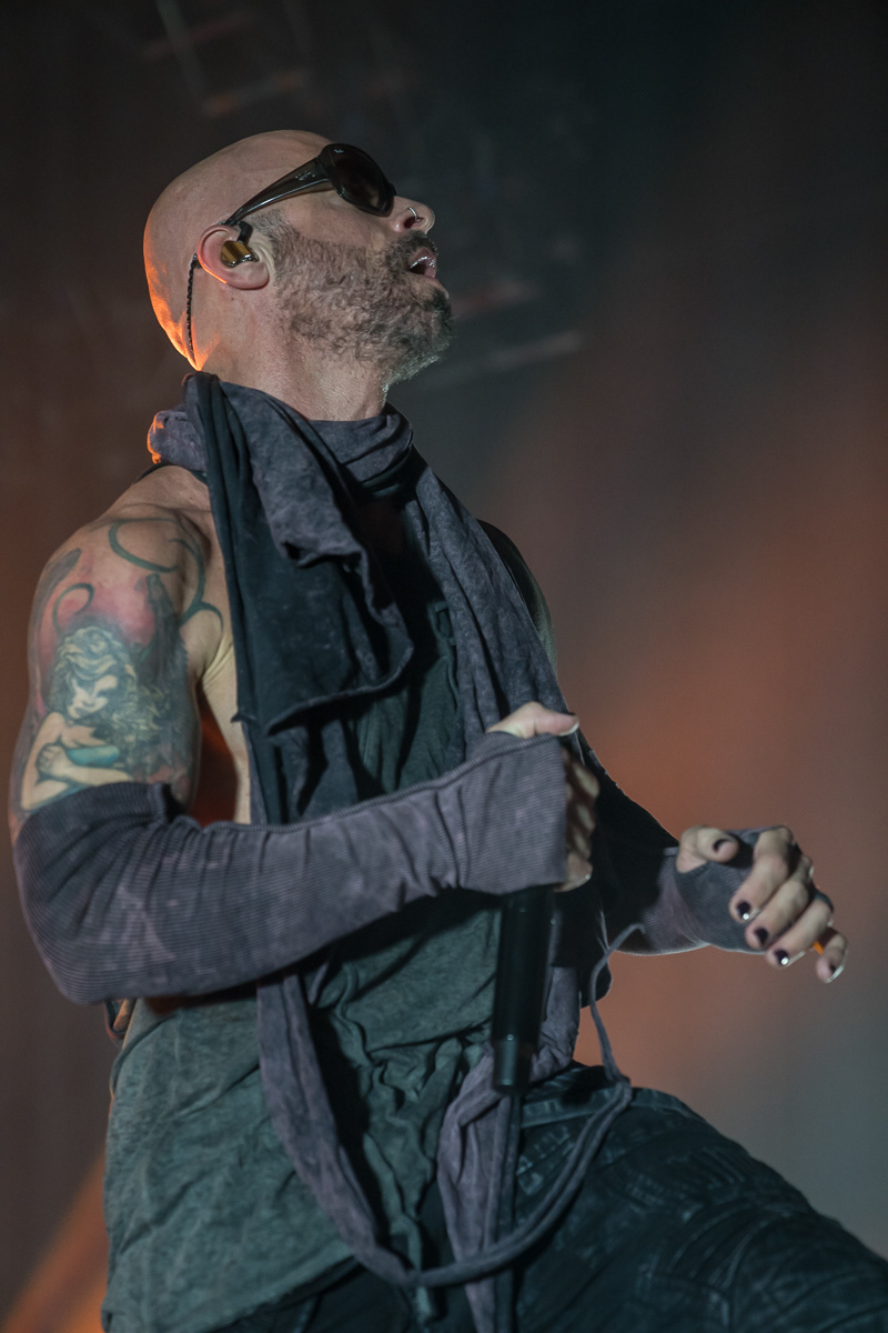 Daughtry