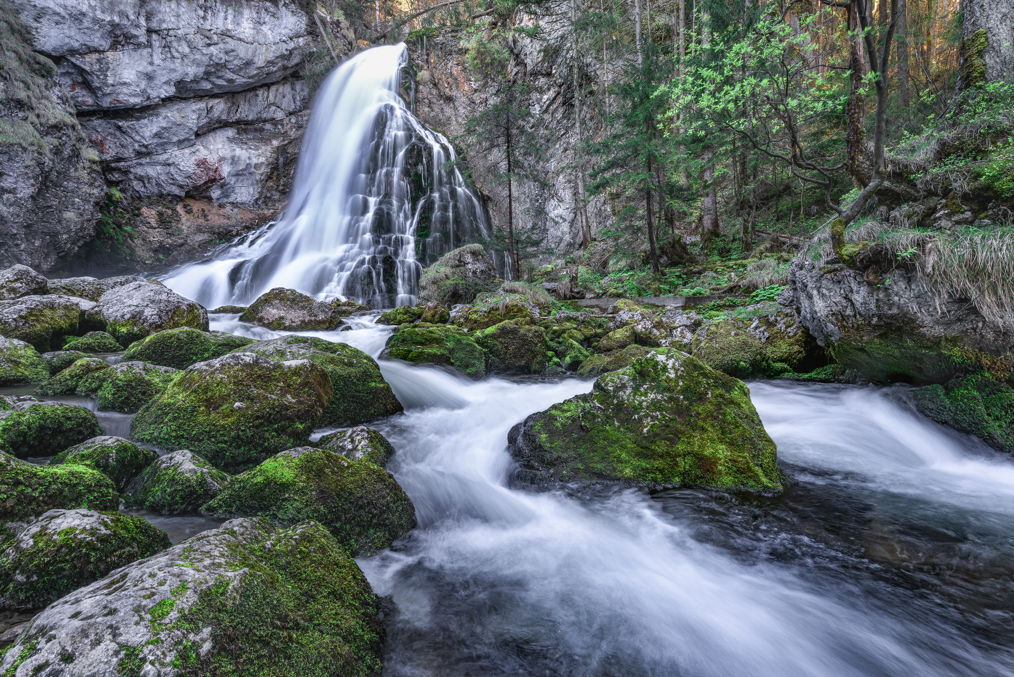 Mountain Stream⎮Golling