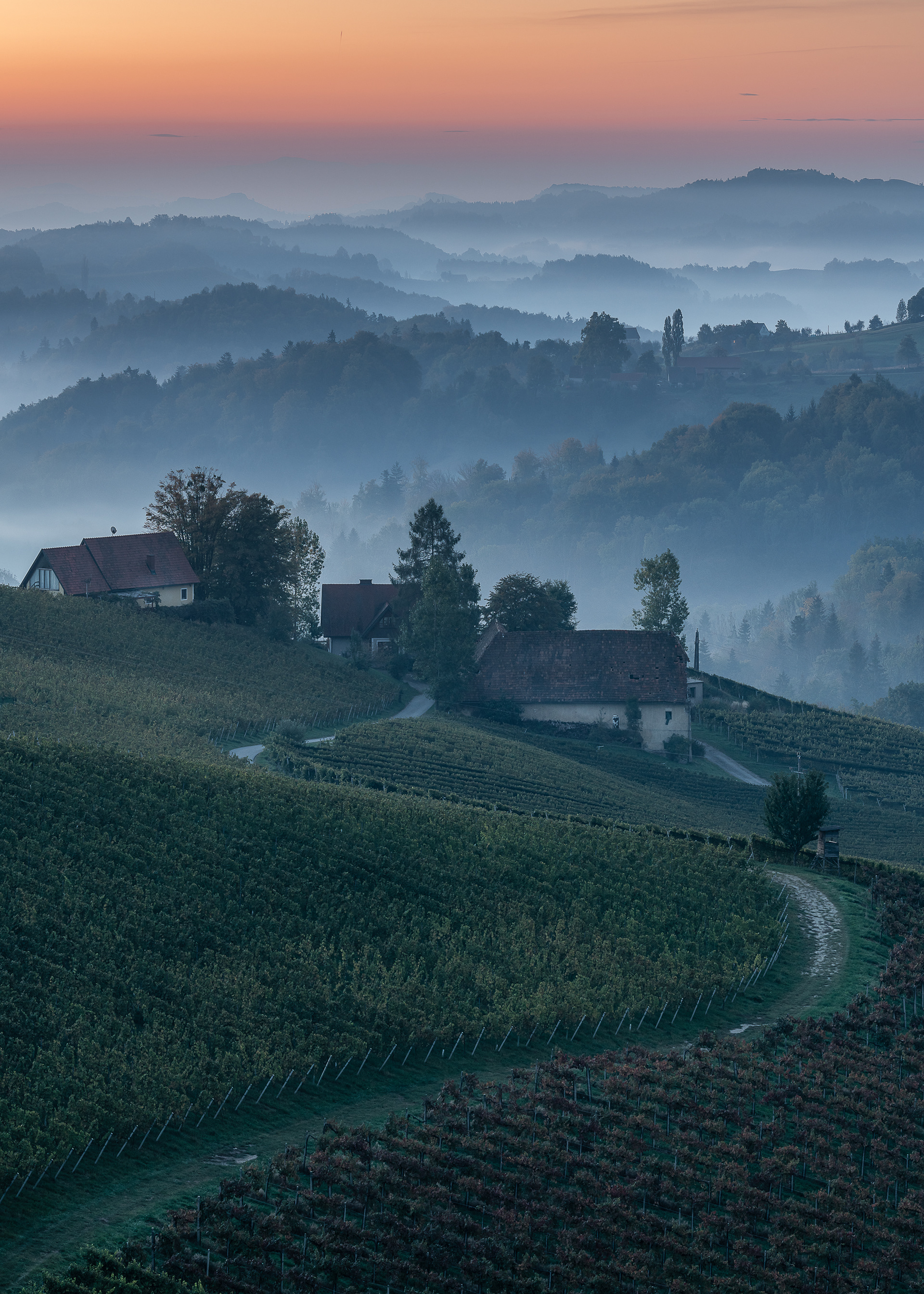 Tuscany⎮Styrian Vineyards
